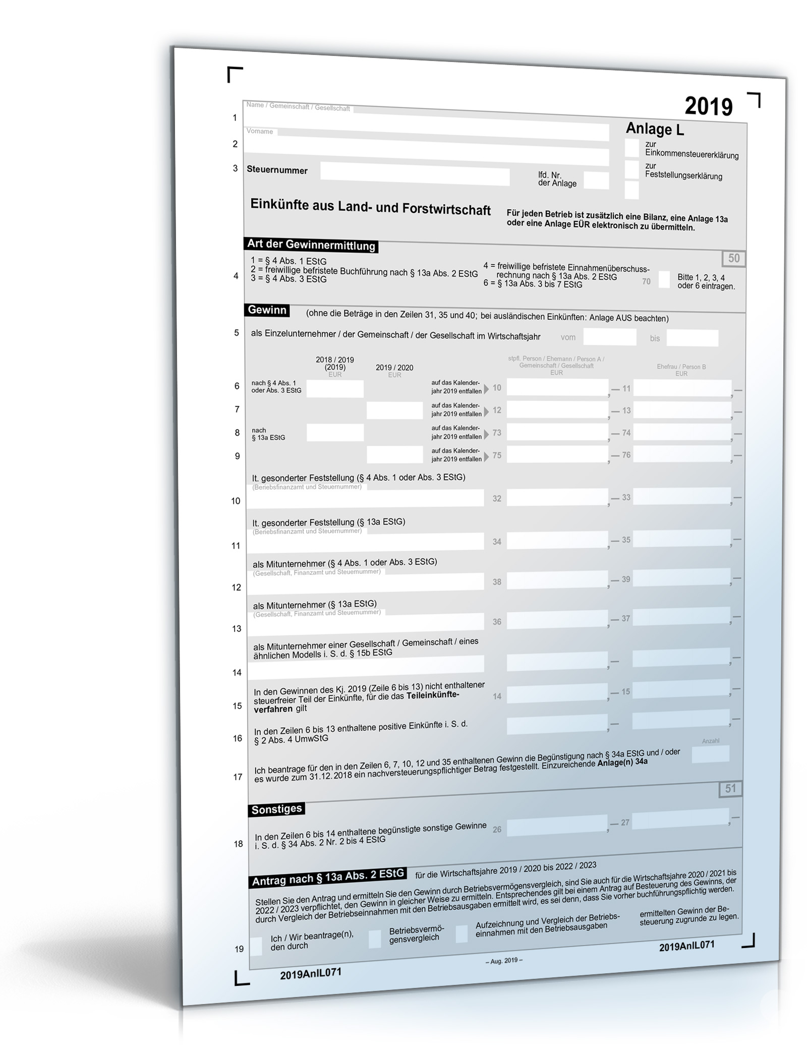 Anlage L 2019 Dokument zum Download