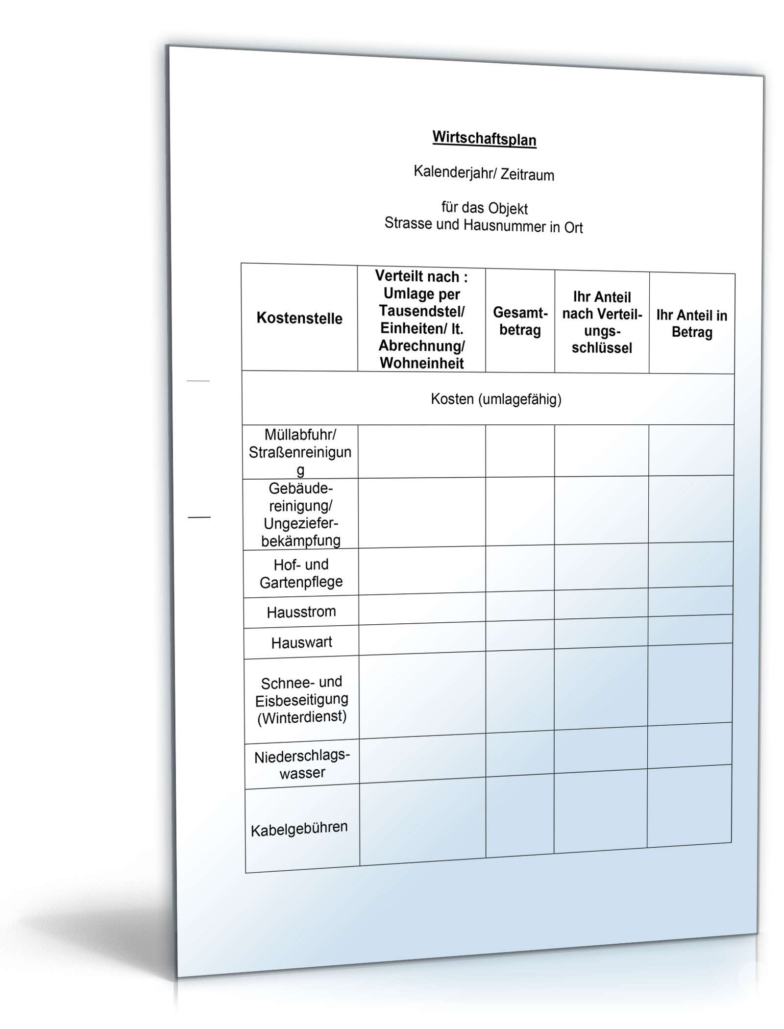 Wirtschaftsplan Muster Vorlage Zum Download