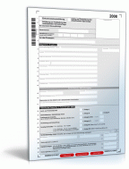 Einkommensteuererklärung beschränkt Steuerpflichtige 2008