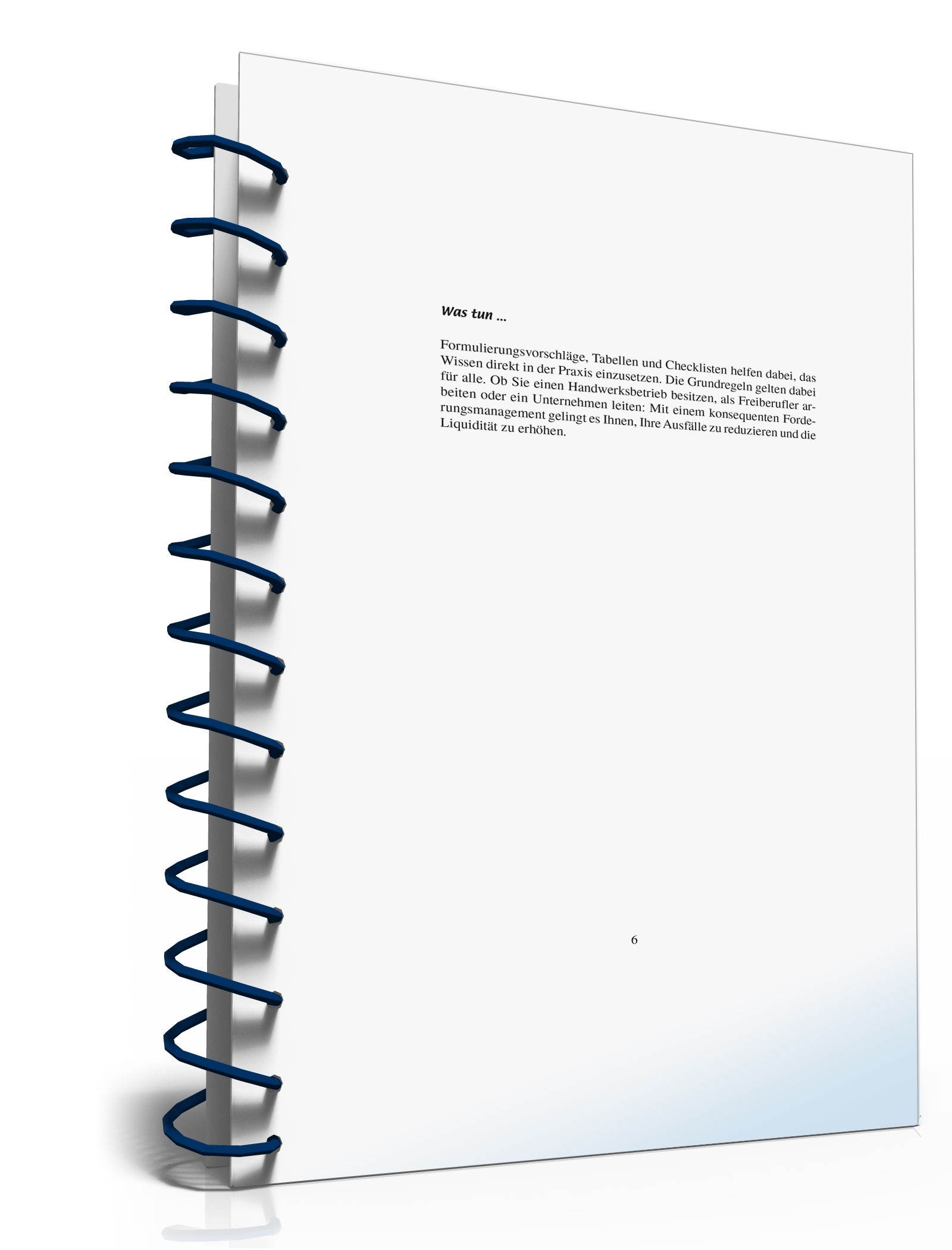 Ratgeber zahlungsunwilliger Kunde PDF. Seite: 6