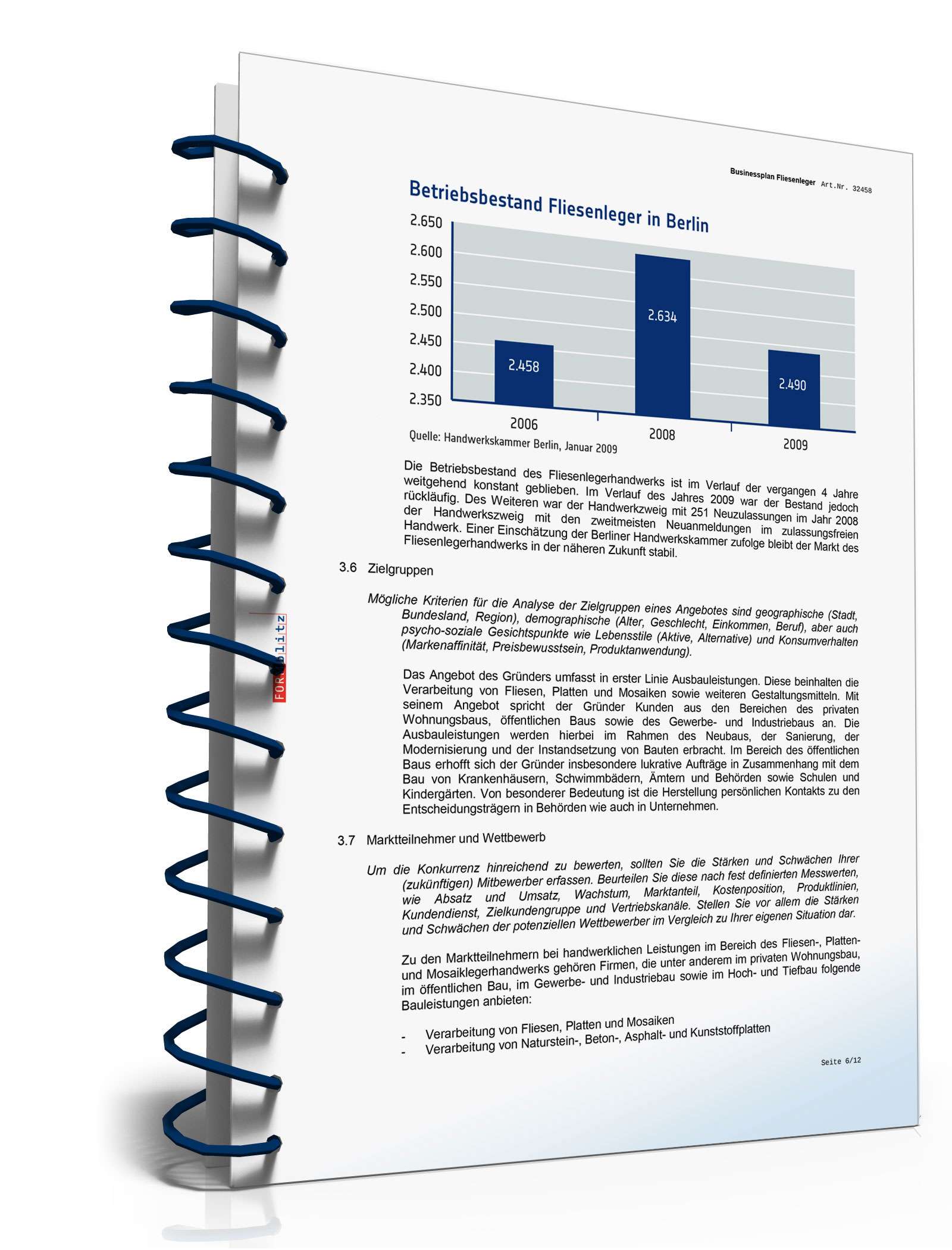 Businessplan Fliesenleger Excel. Seite: 12
