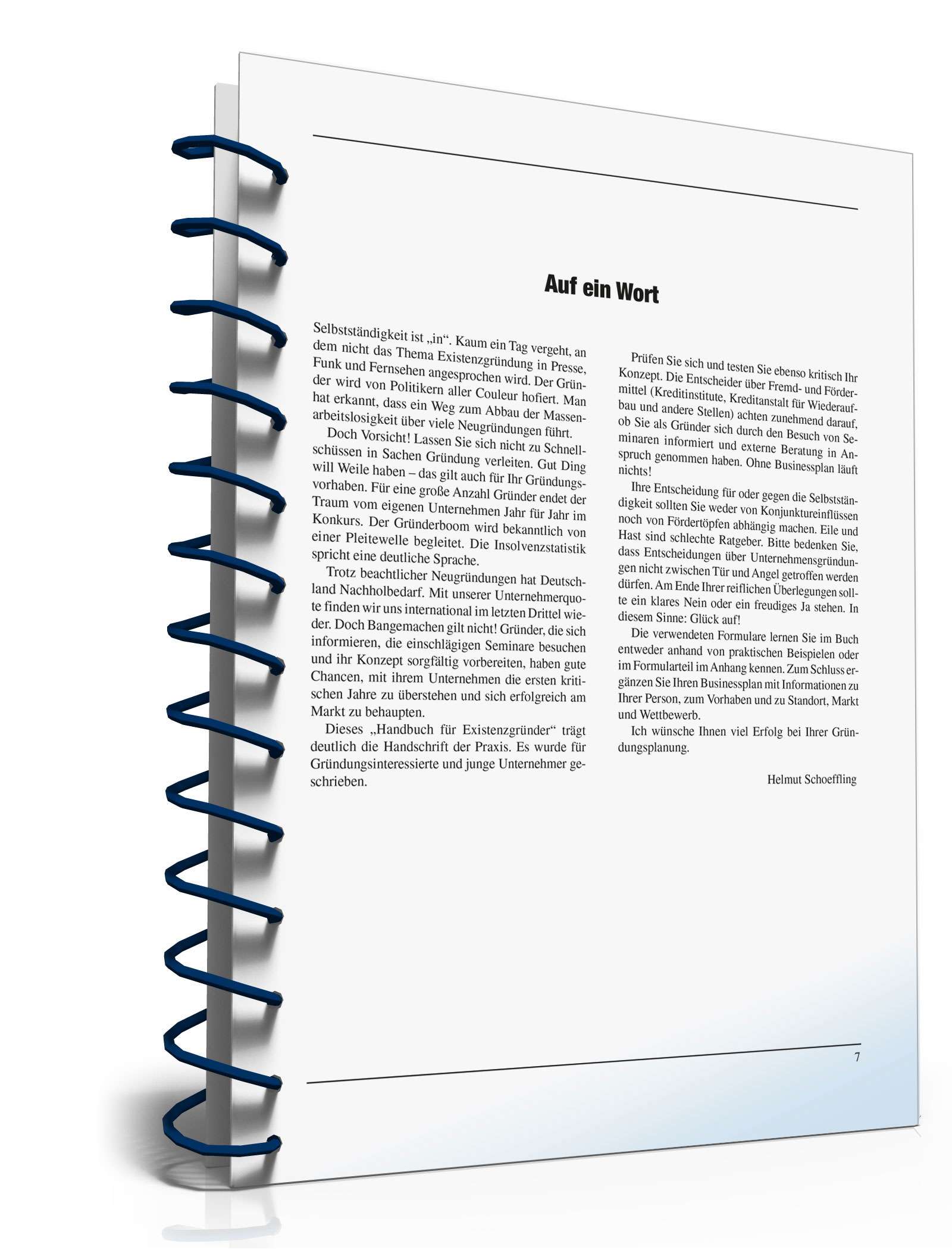 Businessplan erstellen PDF. Seite: 6
