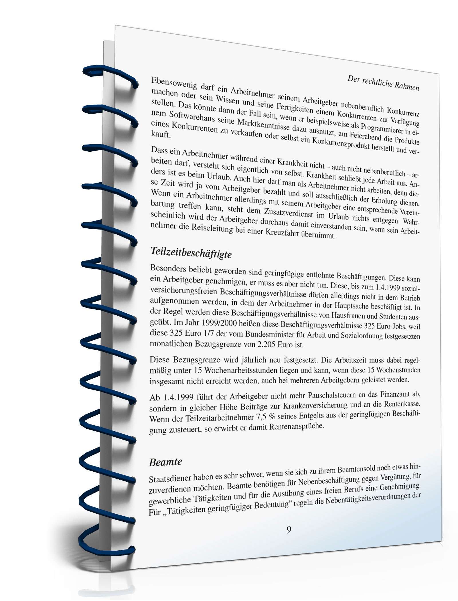 Zusatzverdienst-Ideen PDF. Seite: 10