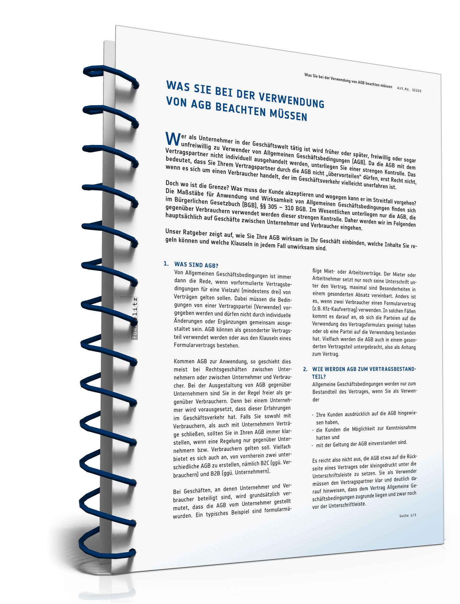 Was Sie bei der Verwendung von AGB beachten müssen PDF. Seite: 2