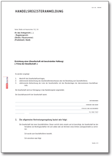 Handelsregisteranmeldung GmbH  Word