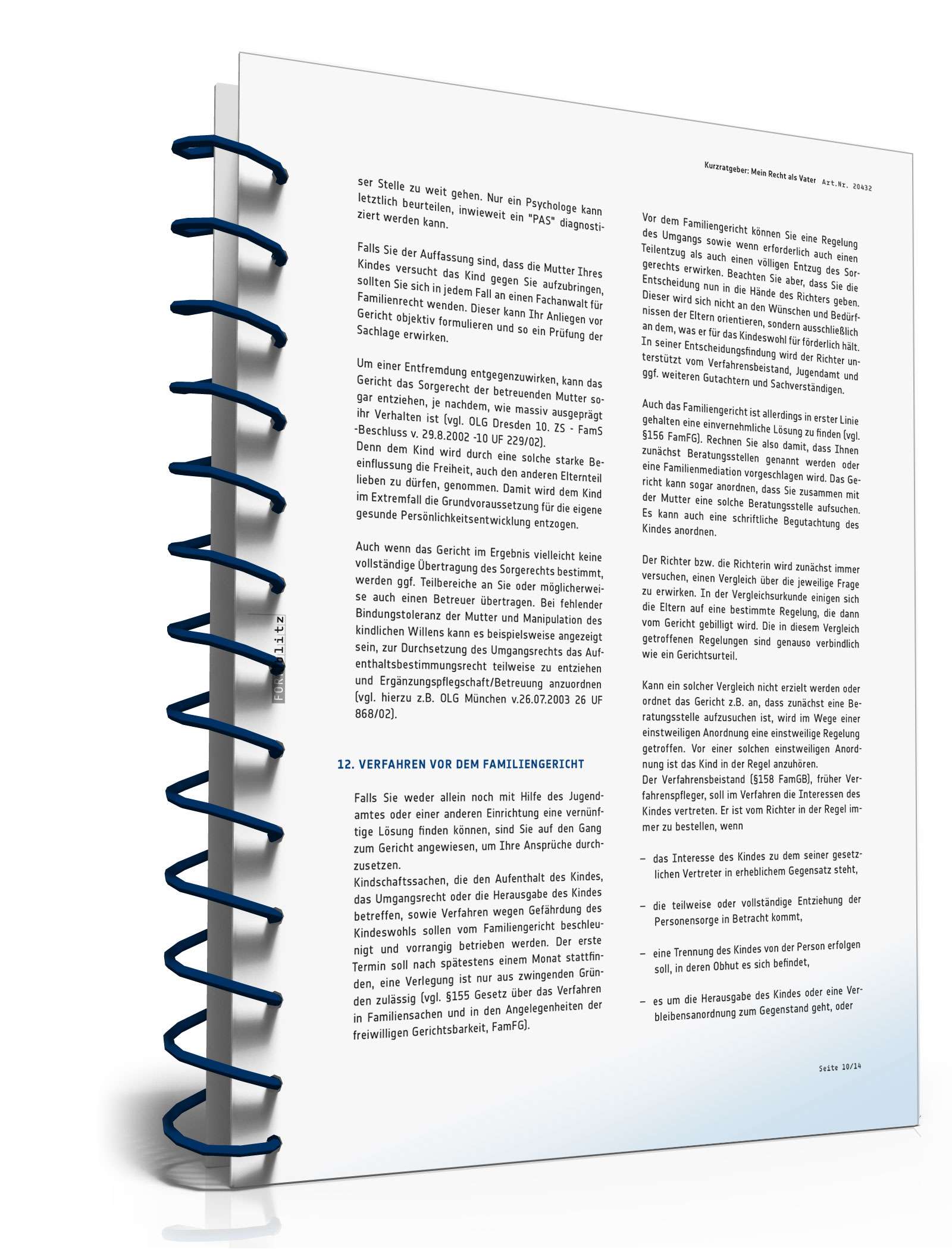 Mein Recht als Vater PDF. Seite: 10