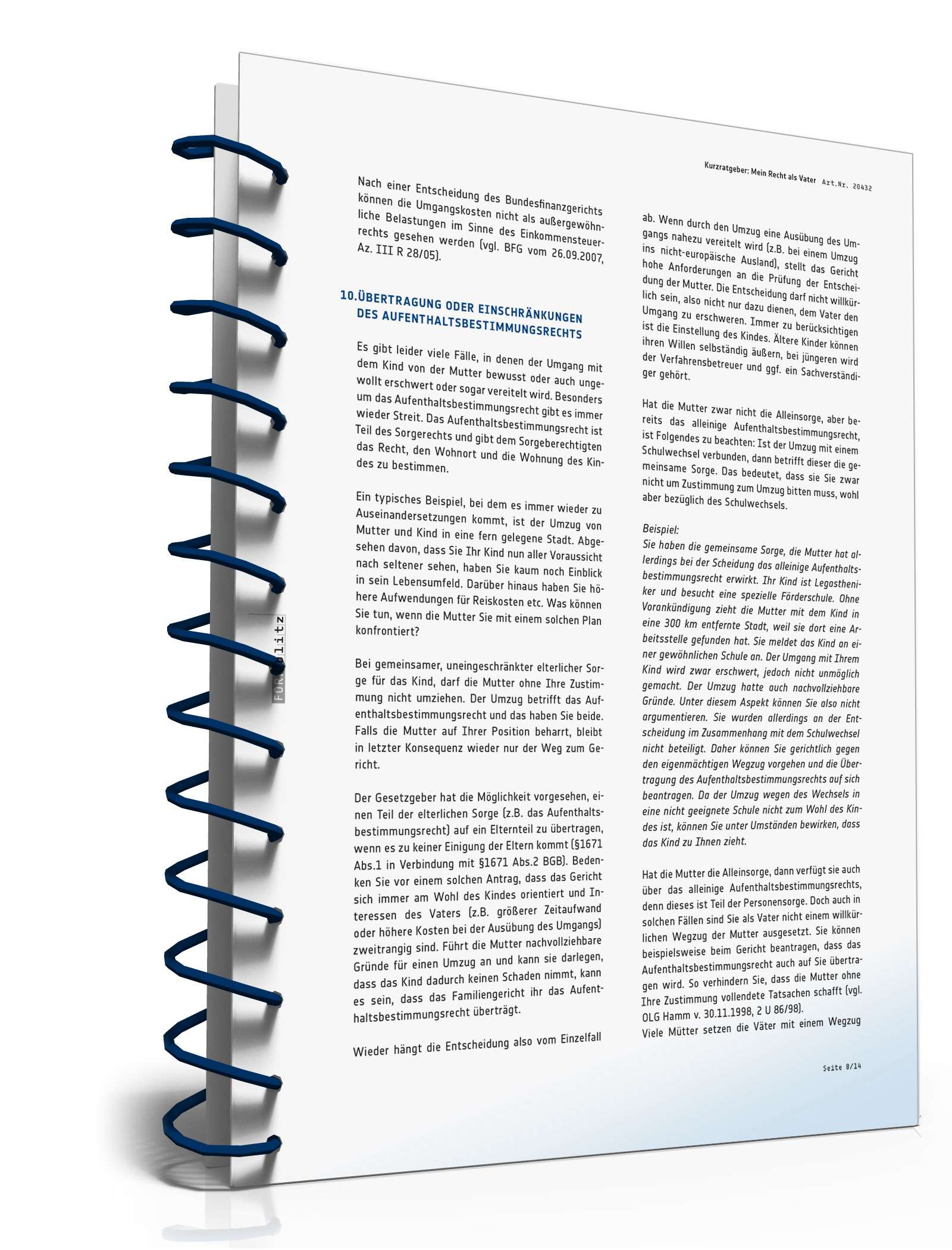 Mein Recht als Vater PDF. Seite: 8