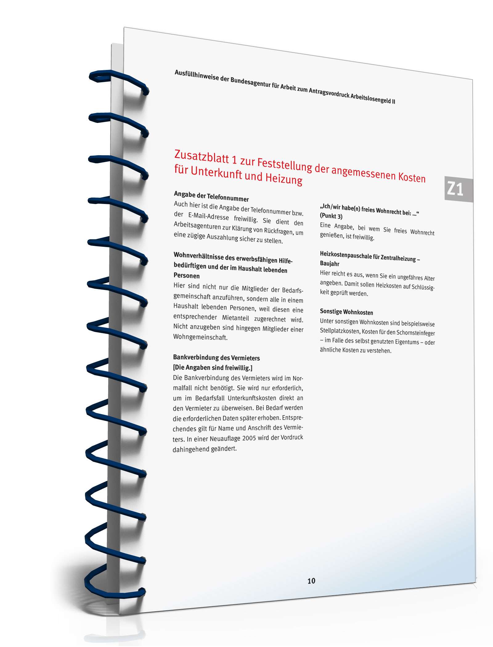 Ausfüllhinweise Antrag Bürgergeld PDF. Seite: 10