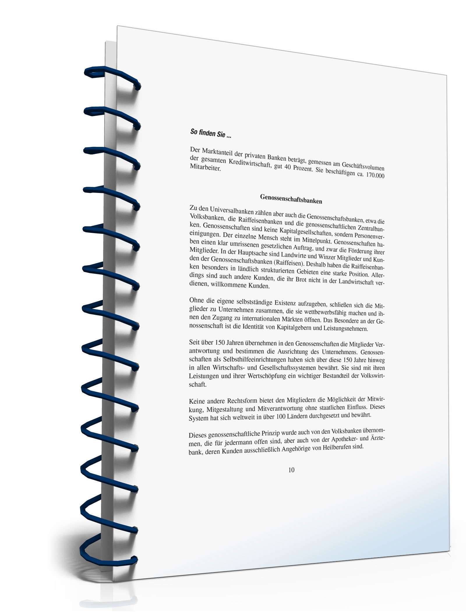 Ratgeber Auswahl Kreditinstitut  PDF. Seite: 8