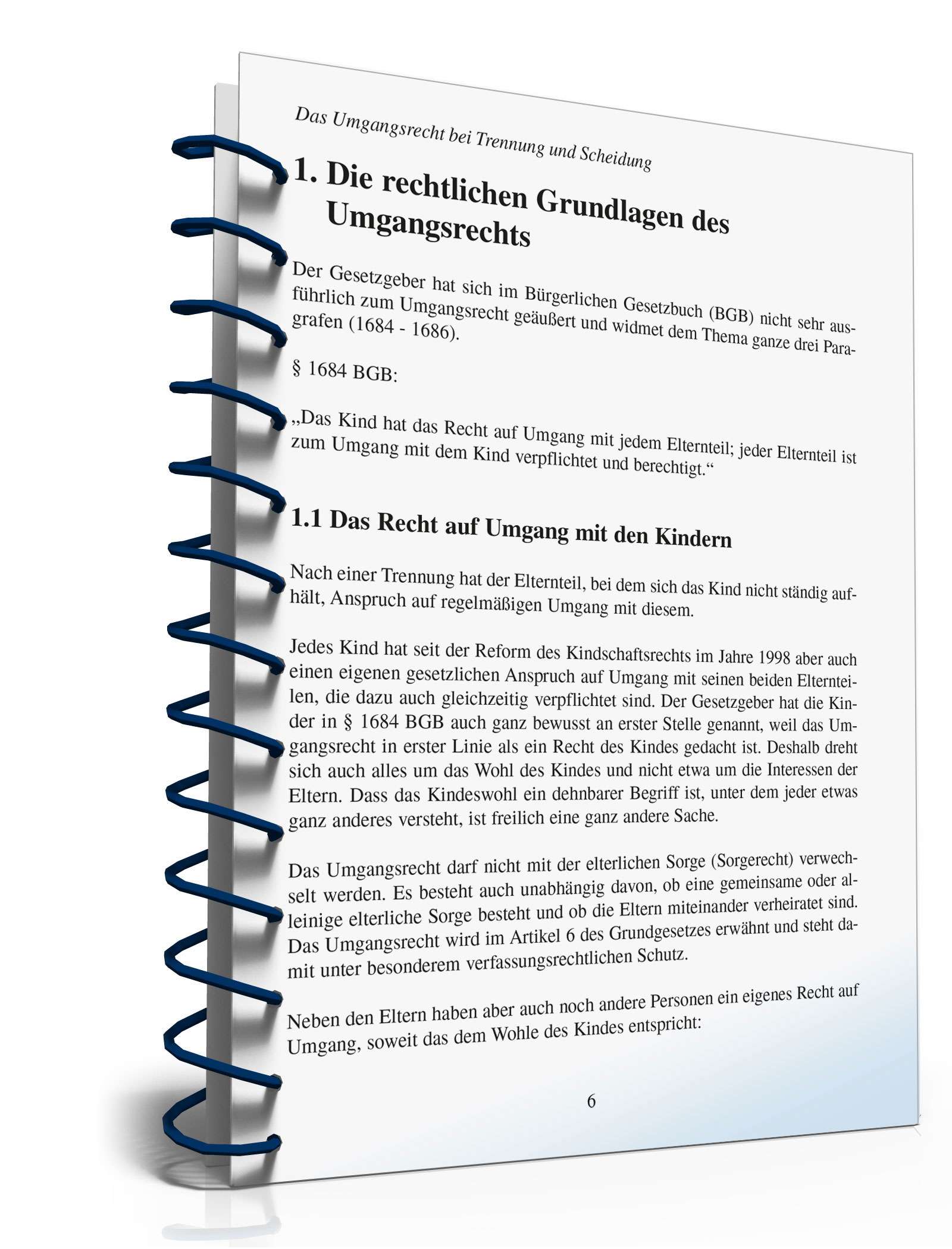 Ratgeber Umgangsrecht Trennung/Scheidung PDF. Seite: 5
