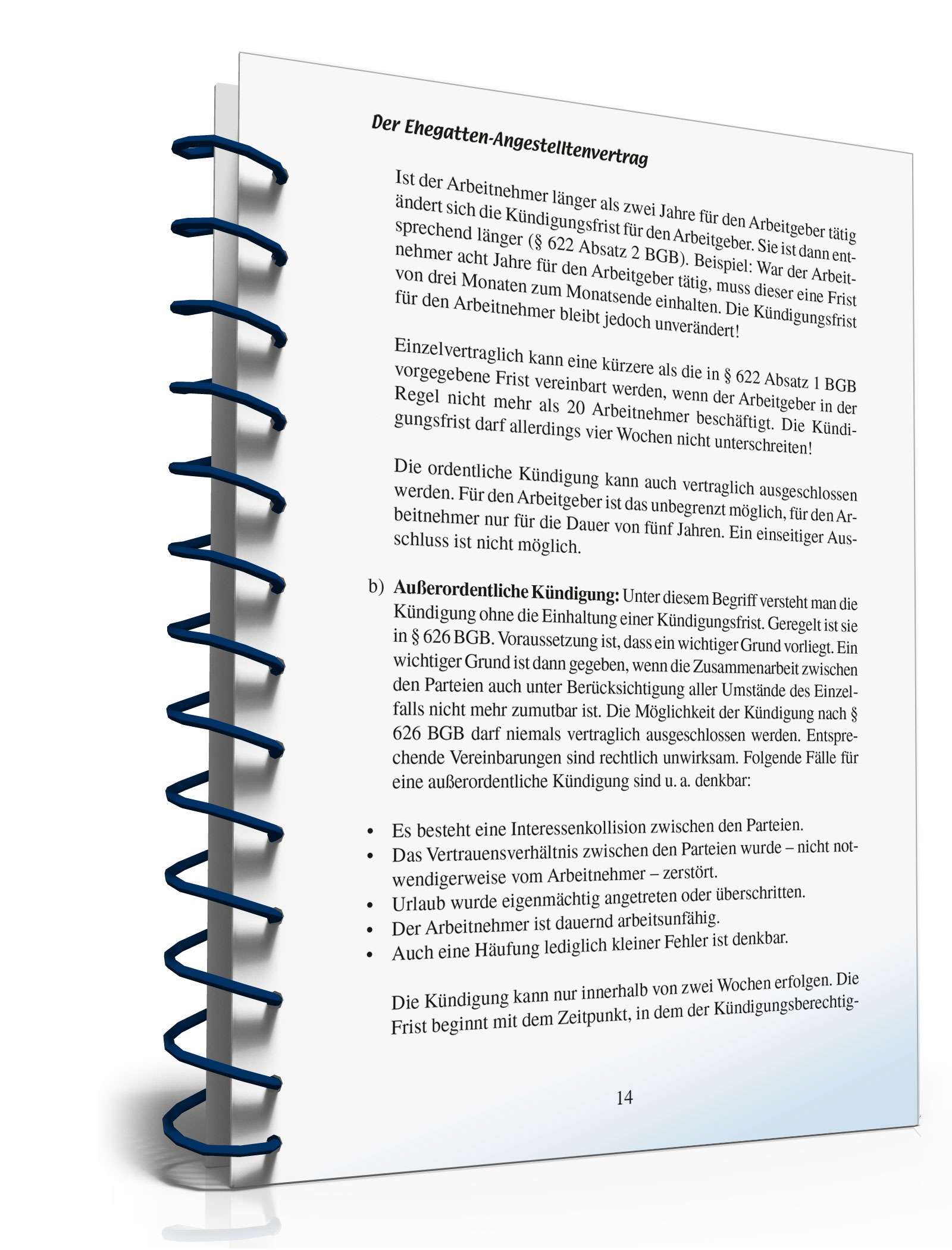 Ratgeber Ehegatten-Angestelltenvertrag PDF. Seite: 13