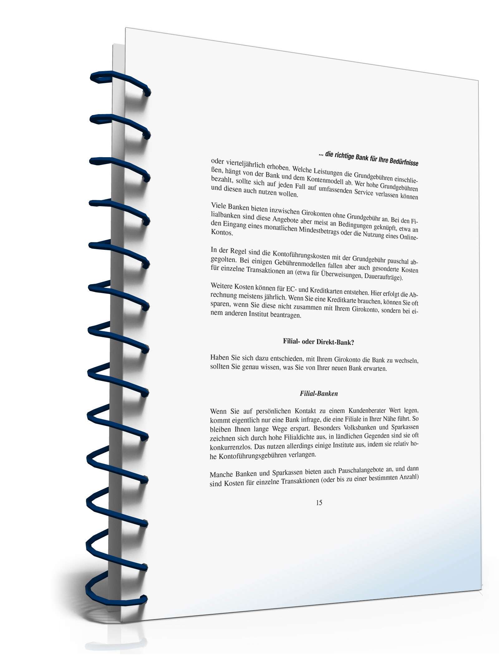 Ratgeber Auswahl Kreditinstitut  PDF. Seite: 13