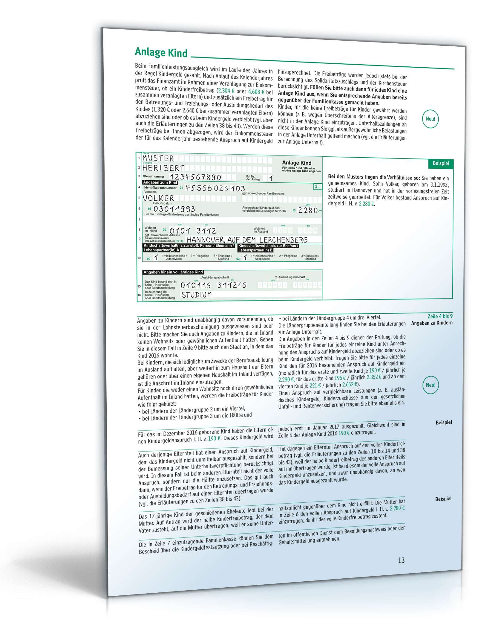 Anleitung zur Einkommensteuererklärung 2016 PDF. Seite: 13