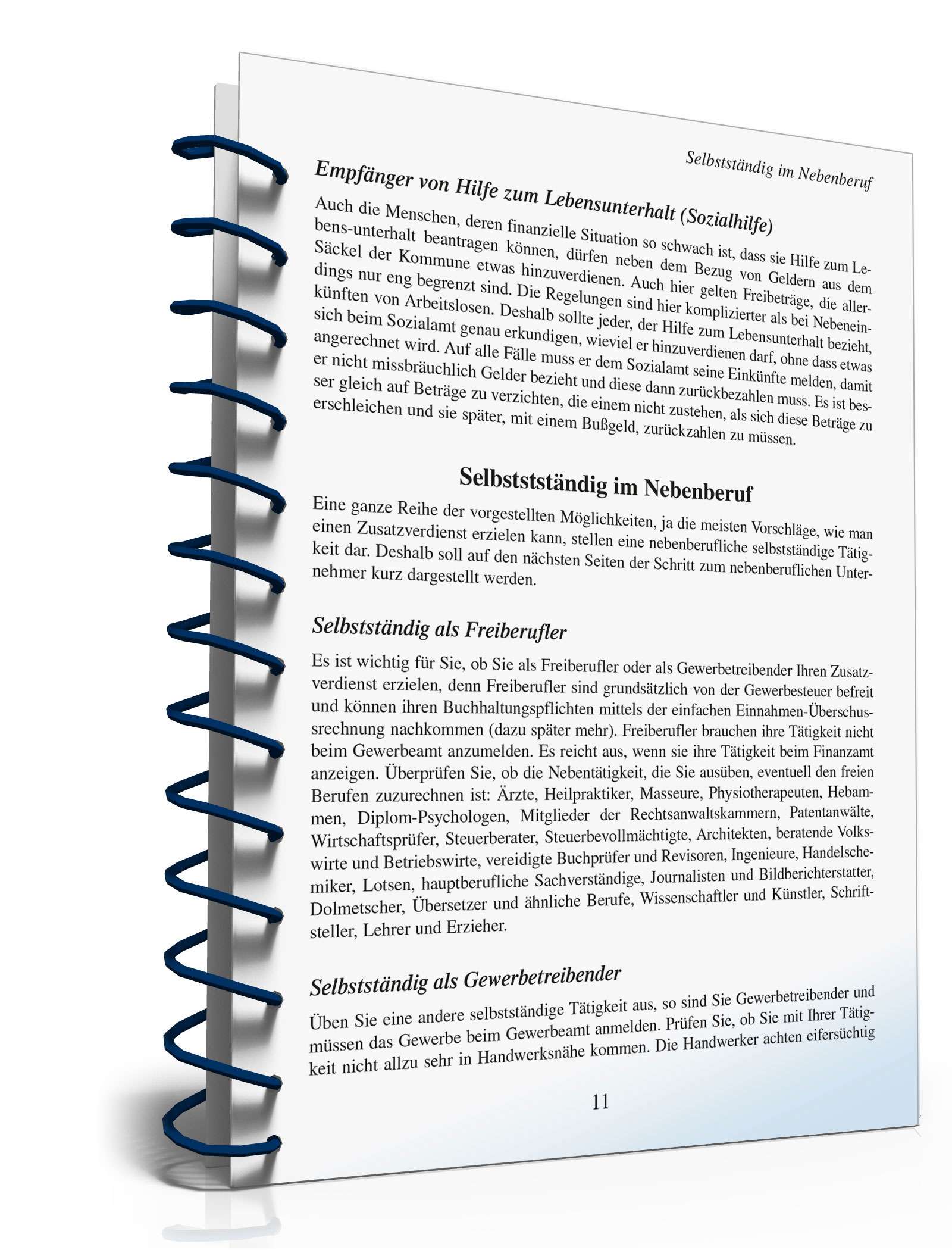 Zusatzverdienst-Ideen PDF. Seite: 12