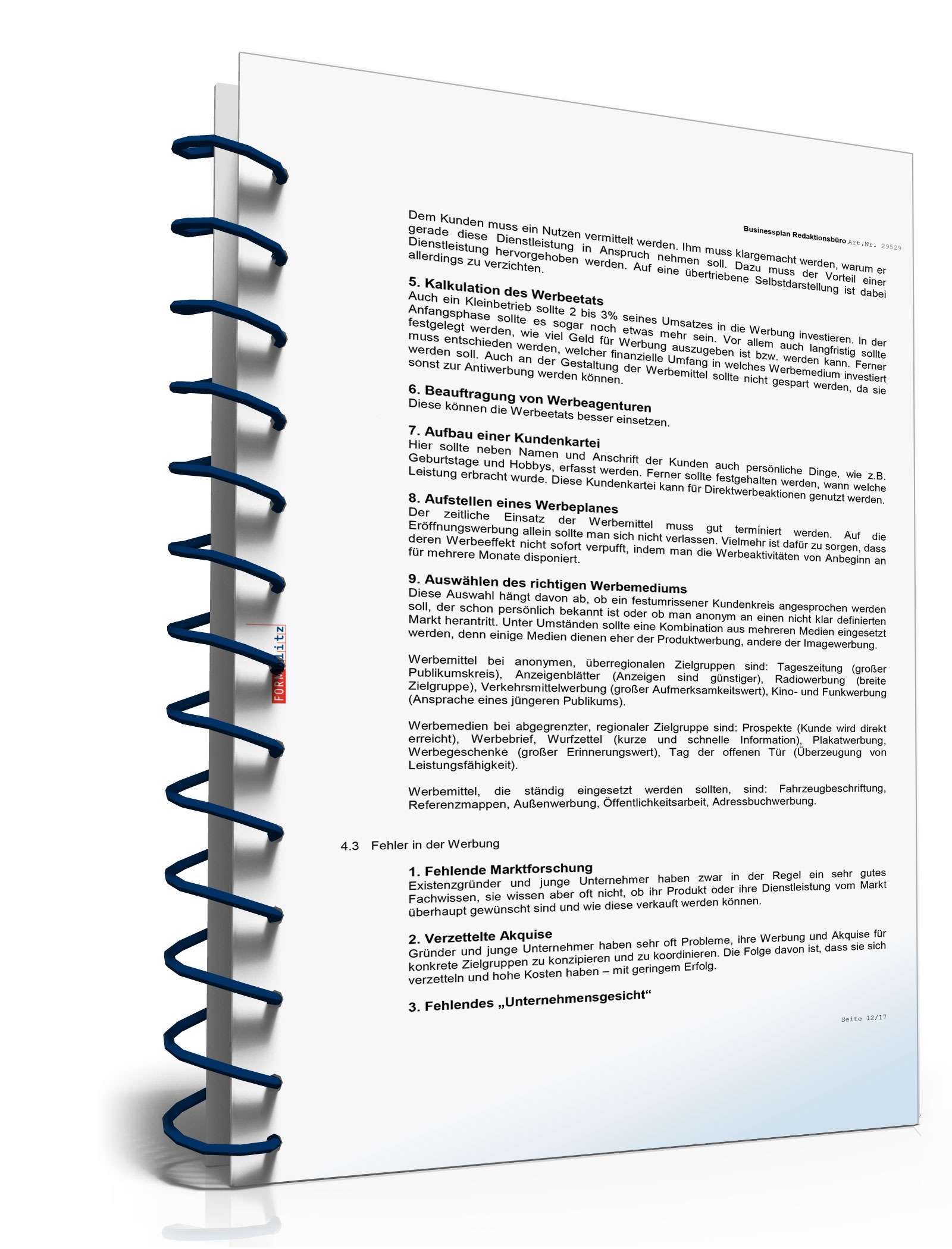 Businessplan Redaktionsbüro Excel. Seite: 11