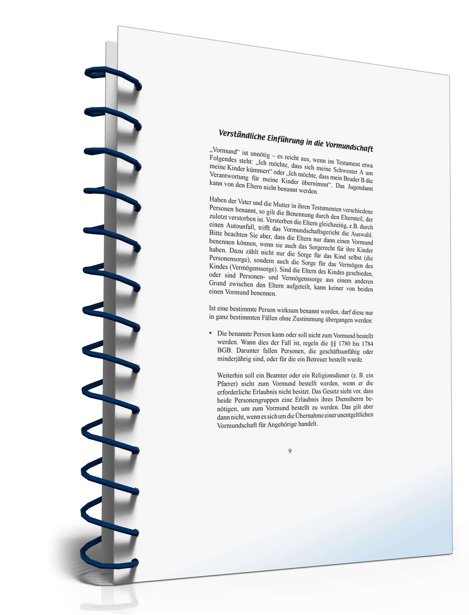 Ratgeber Vormundschaft PDF. Seite: 9