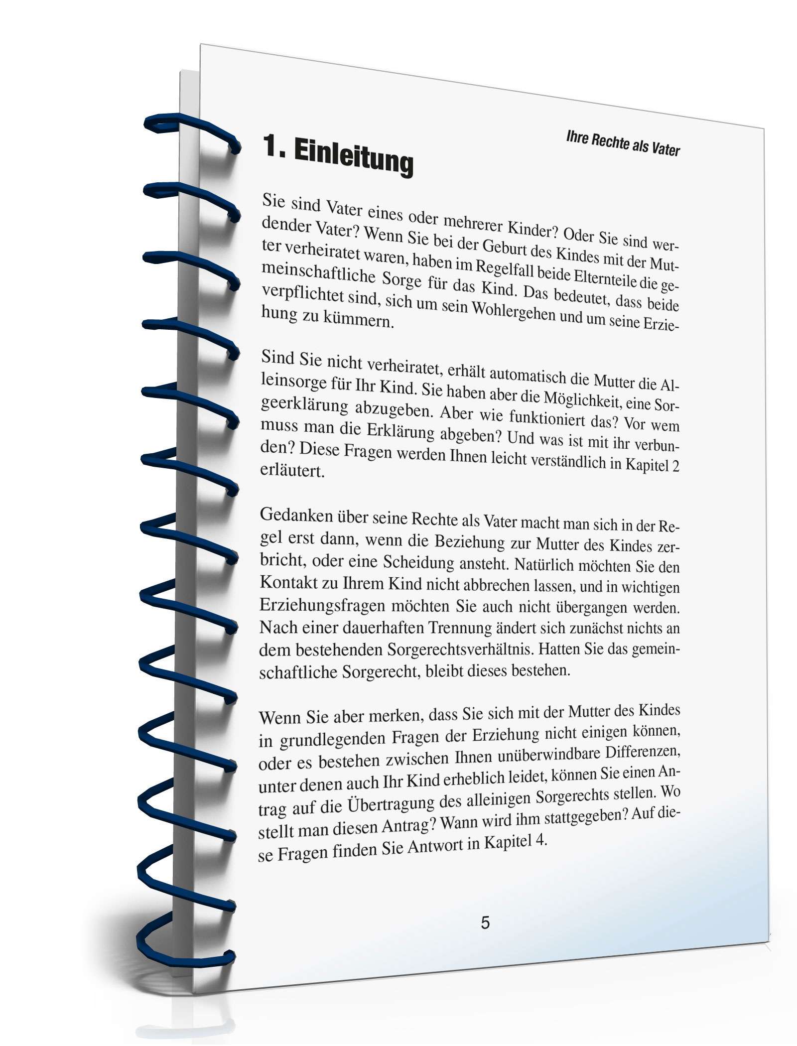 Ihre Rechte als Vater PDF. Seite: 4