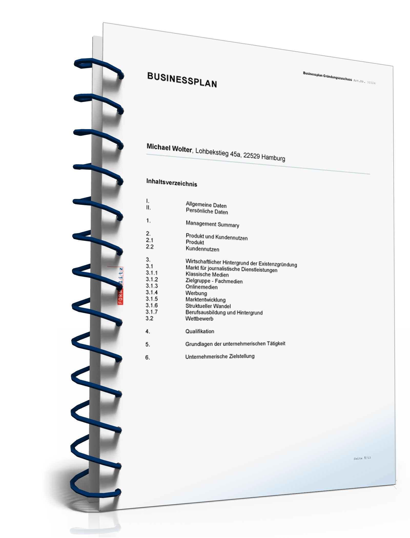 Businessplan für Freiberufler Excel. Seite: 3