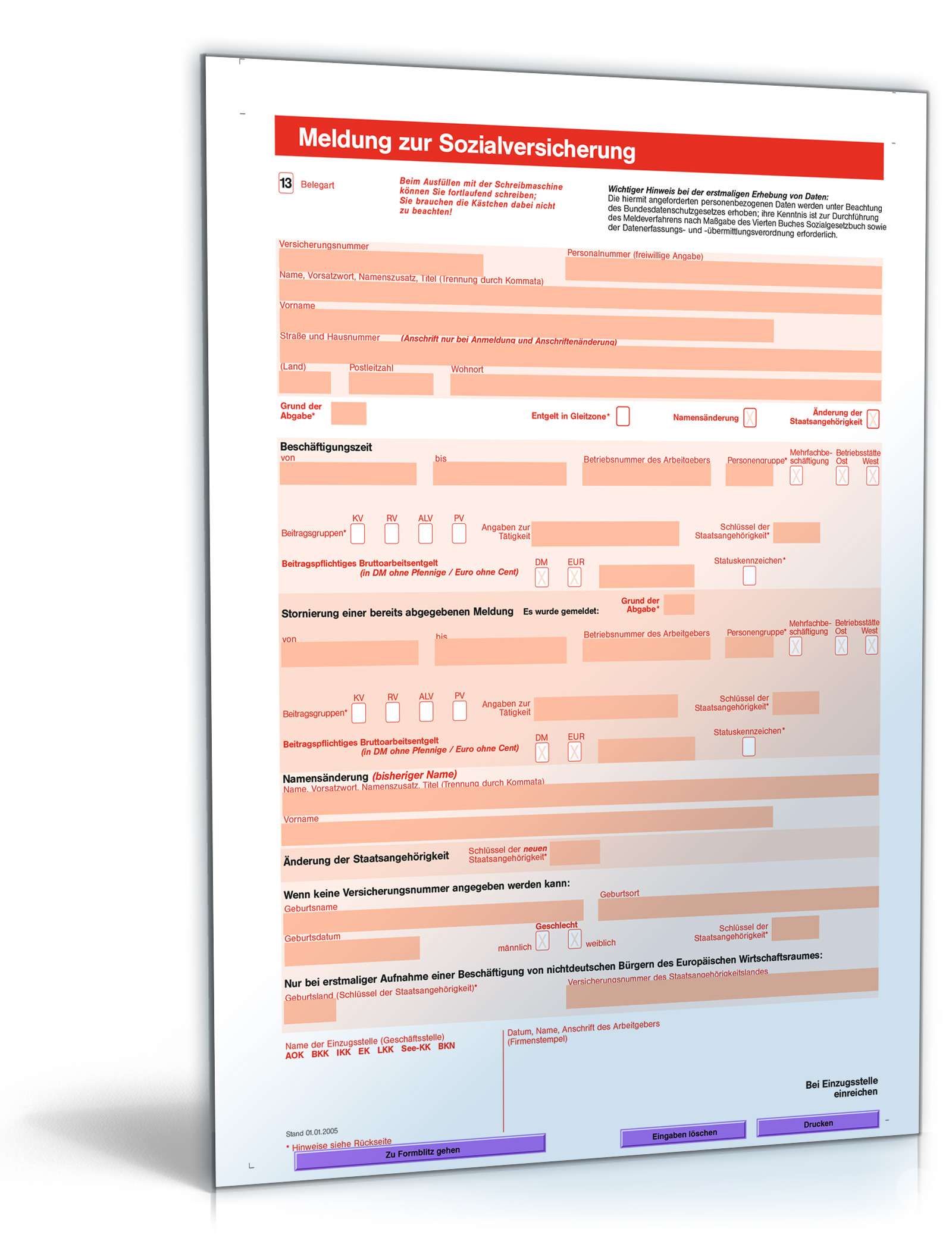 Meldung zur Sozialversicherung für Minijobs PDF