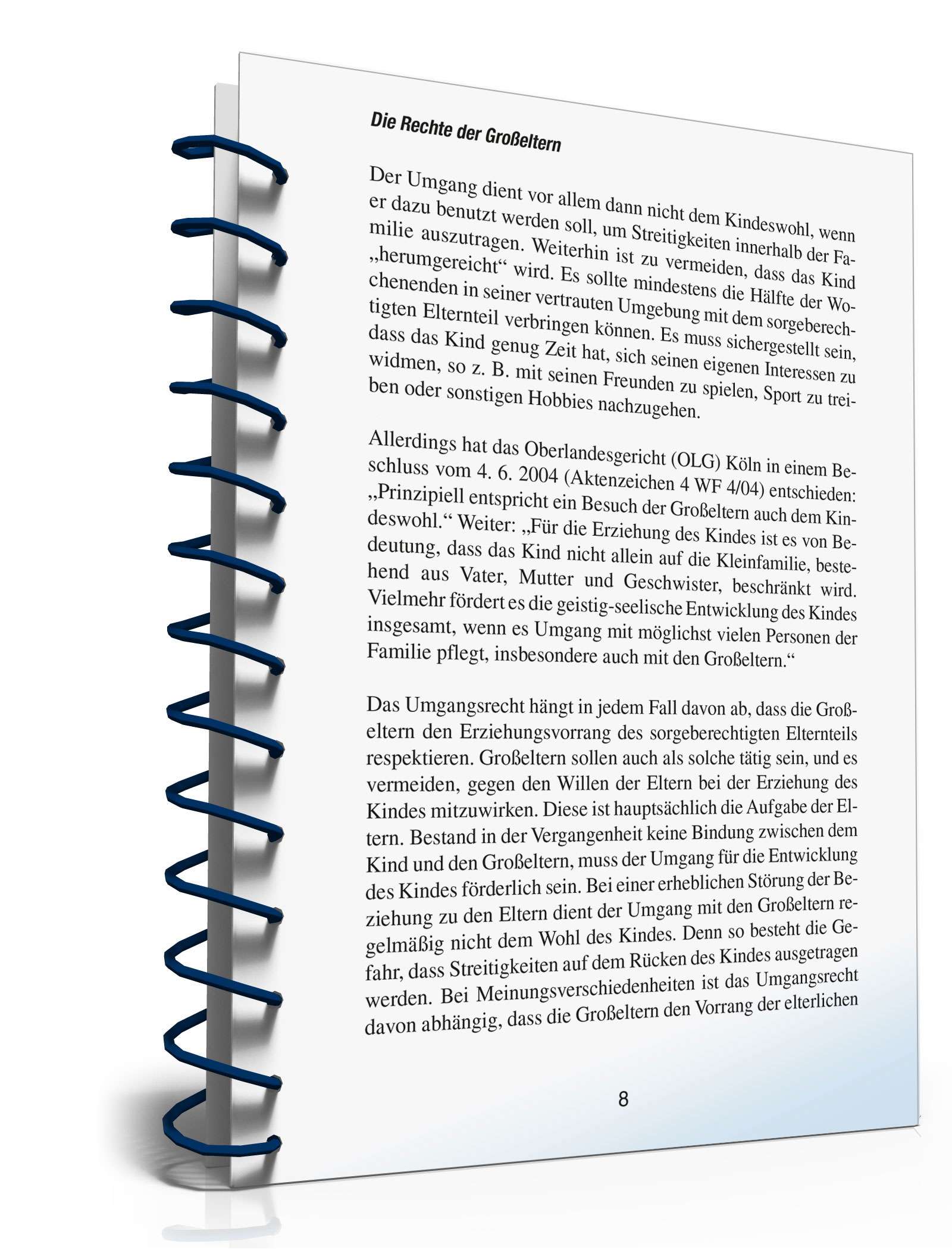 Ratgeber Recht Großeltern PDF. Seite: 7