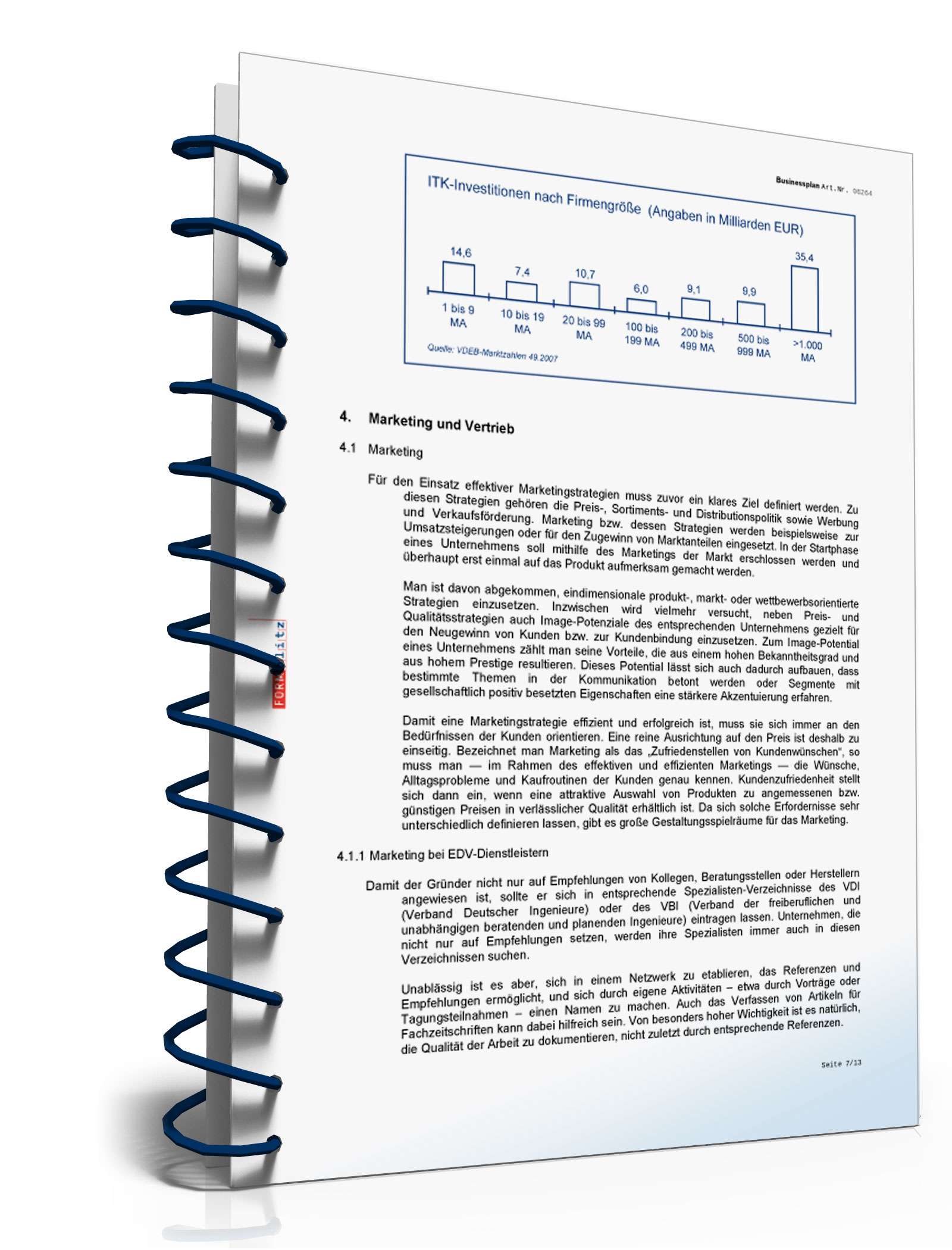 Businessplan IT-Berater Excel. Seite: 10