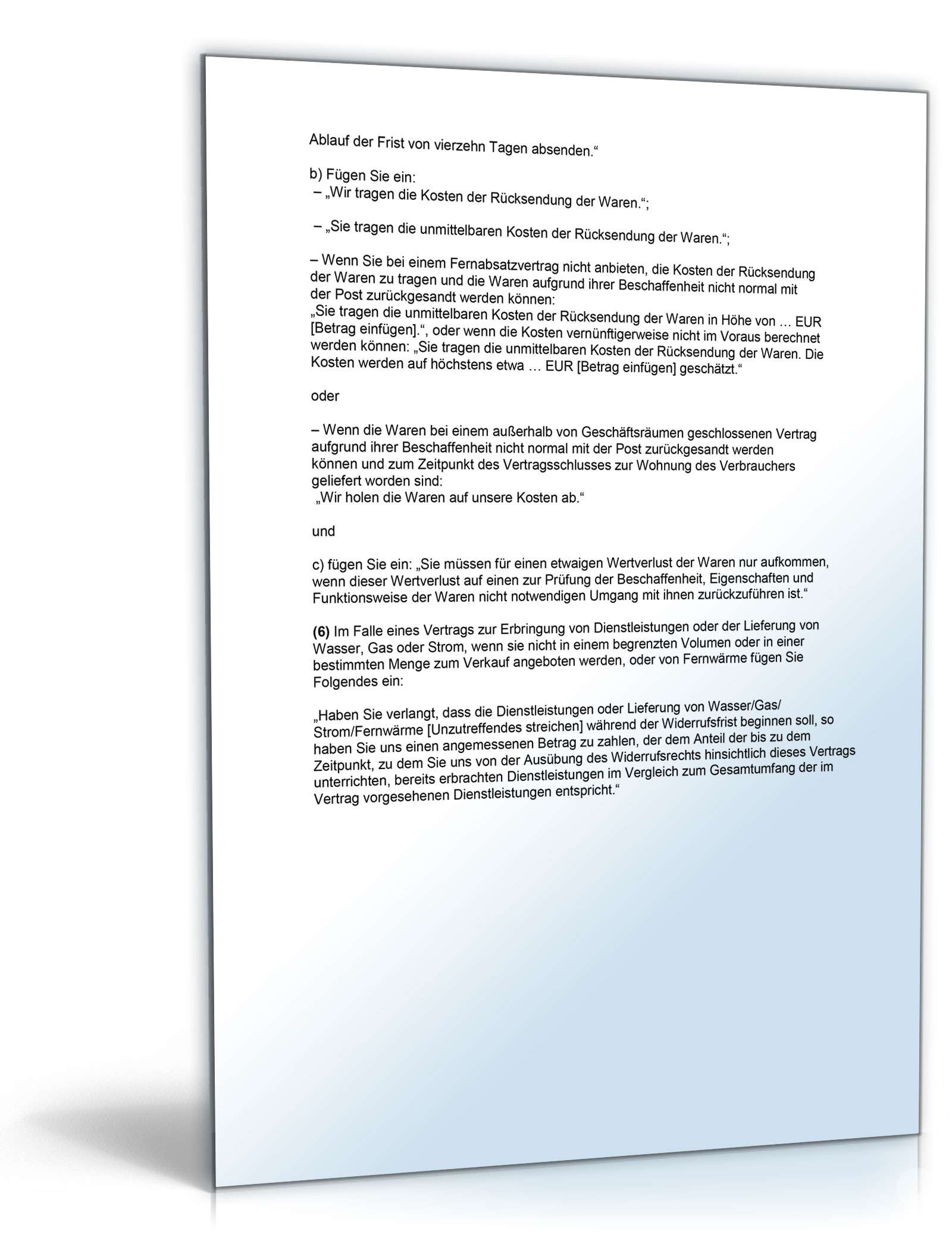 Widerrufsbelehrung für eBay-Verkäufer Word. Seite: 3