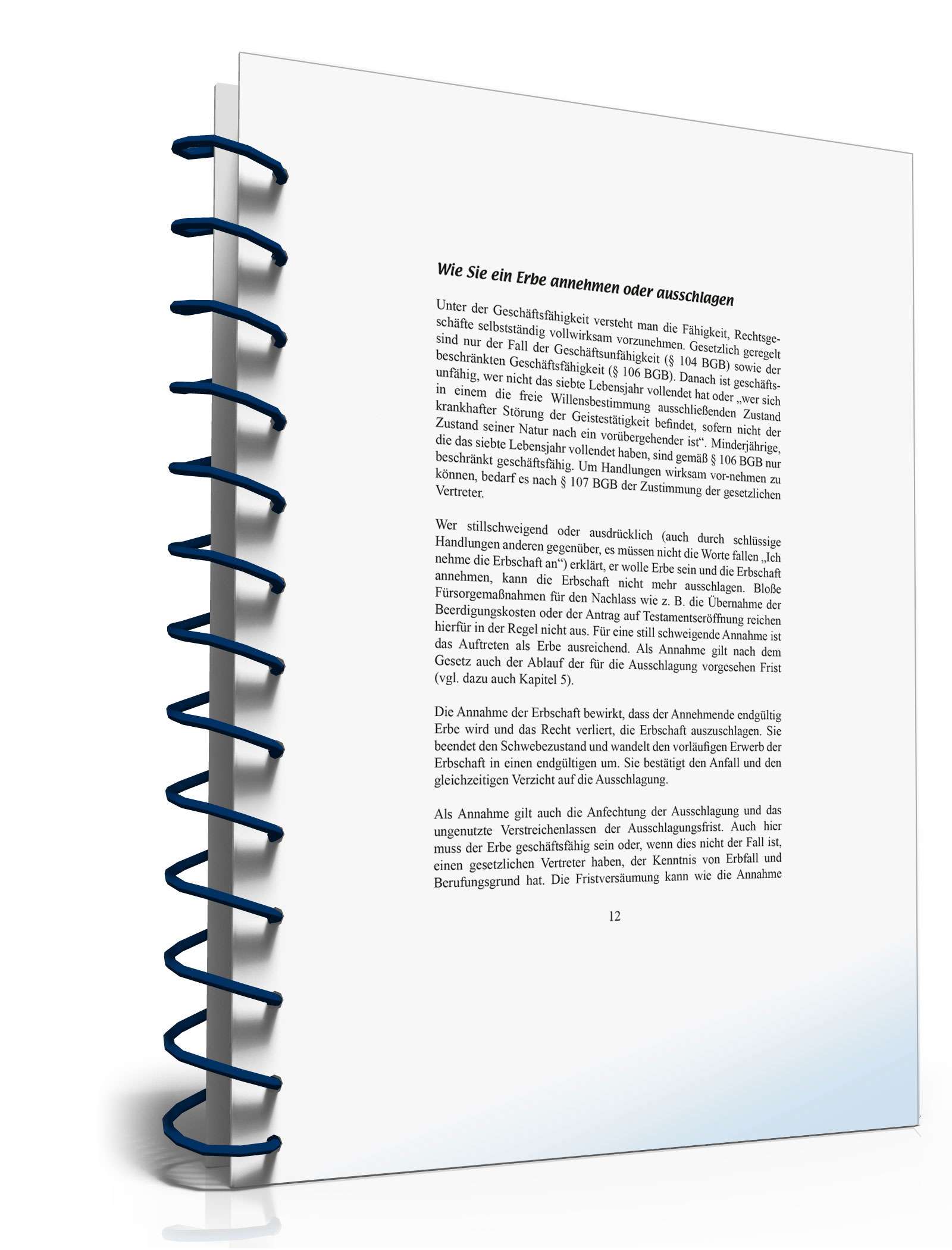 Ratgeber Annehmen/Ausschlagen Erbe  PDF. Seite: 12