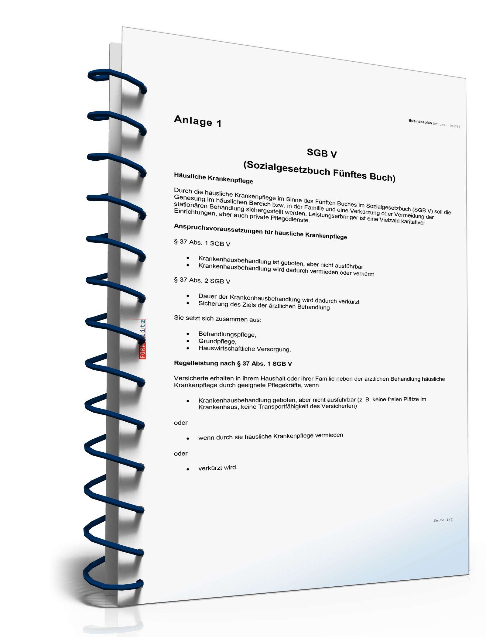 Businessplan Mobiler Pflegedienst Excel. Seite: 18