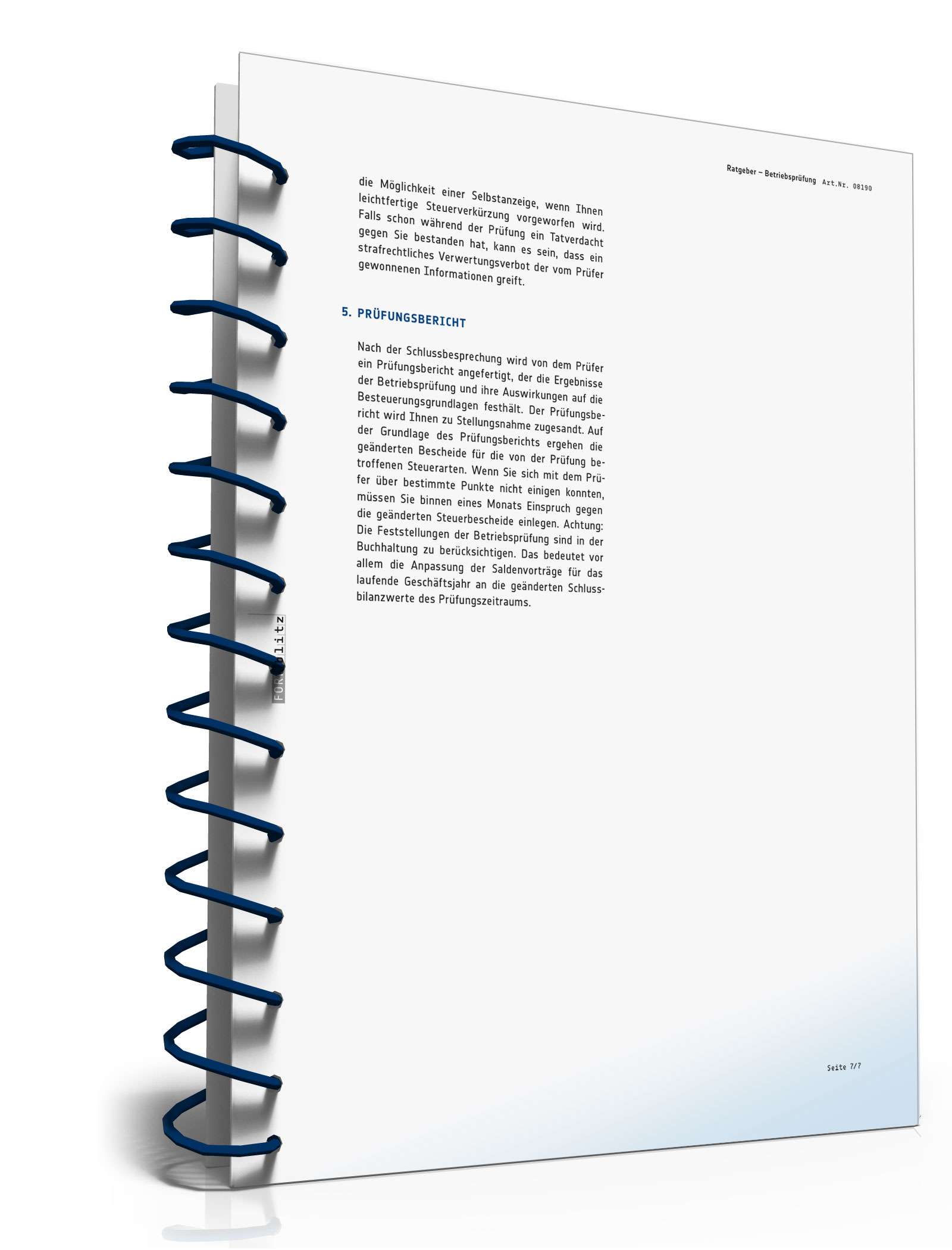 Ratgeber Betriebsprüfung PDF. Seite: 8