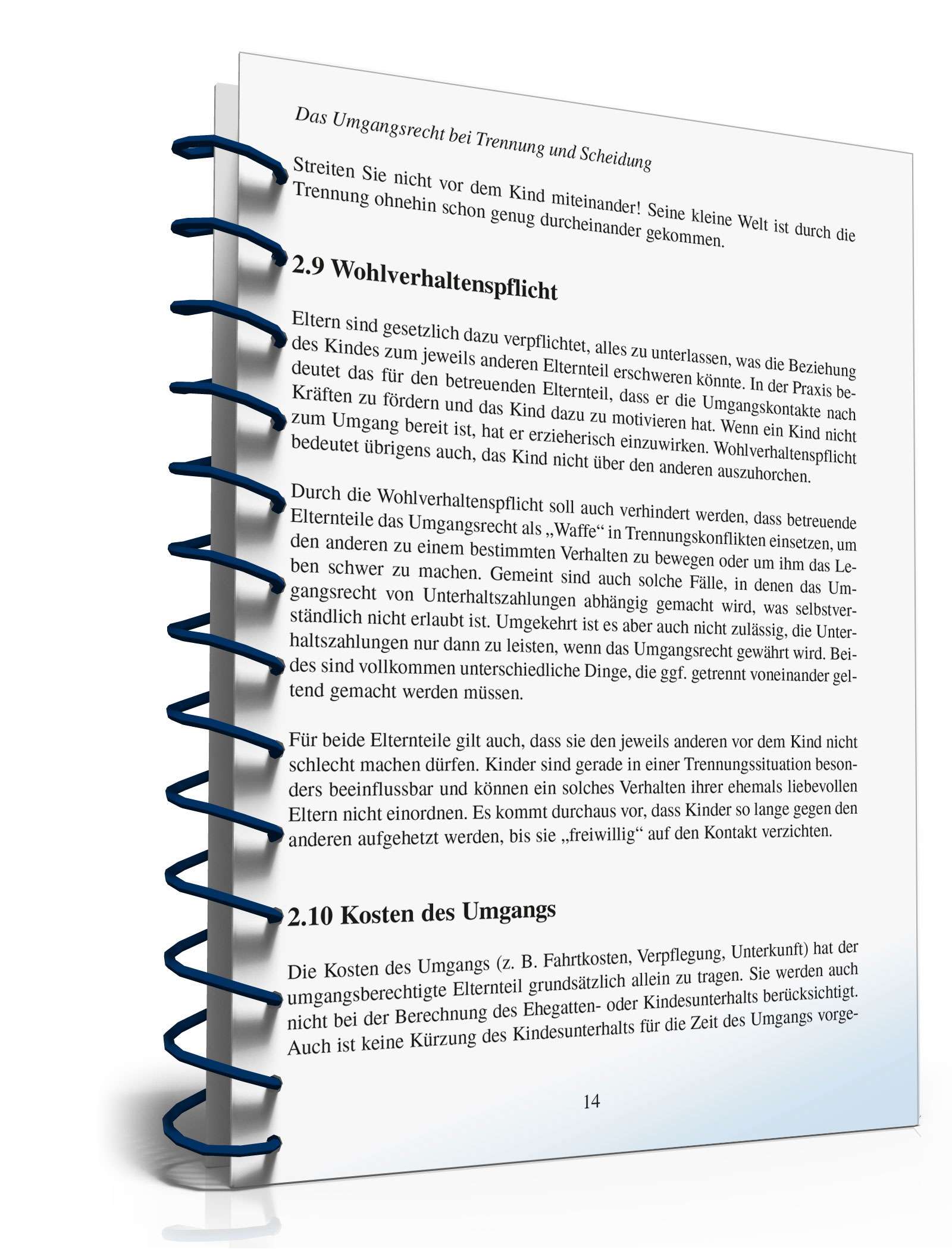 Ratgeber Umgangsrecht Trennung/Scheidung PDF. Seite: 13