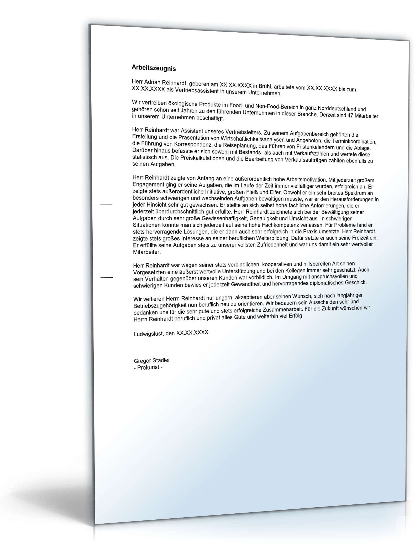 Arbeitszeugnis Vertriebsassistent Excel. Seite: 3