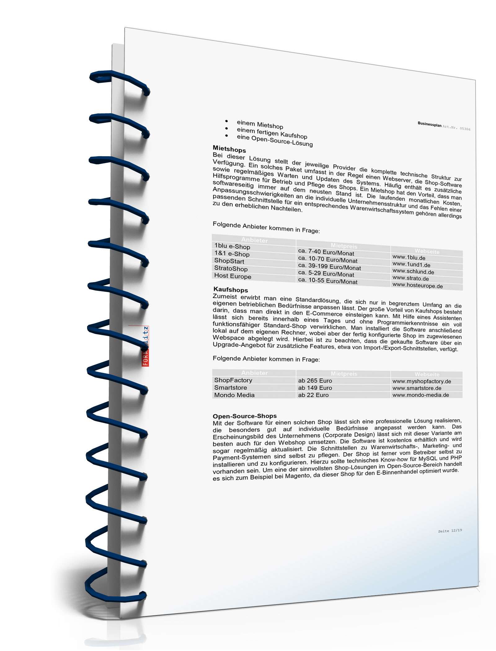 Businessplan Online-Shop Excel. Seite: 10