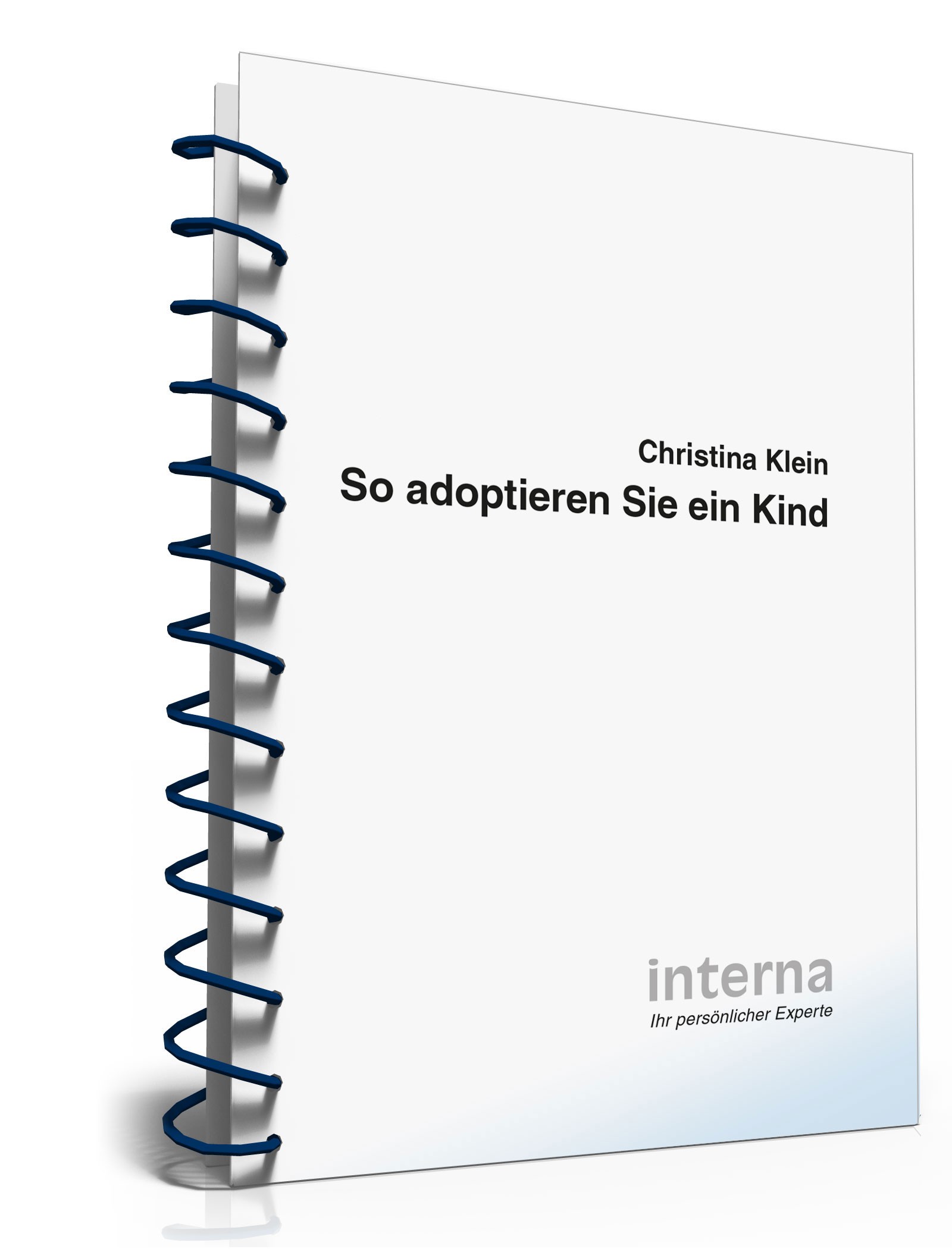 Ratgeber Adoption PDF