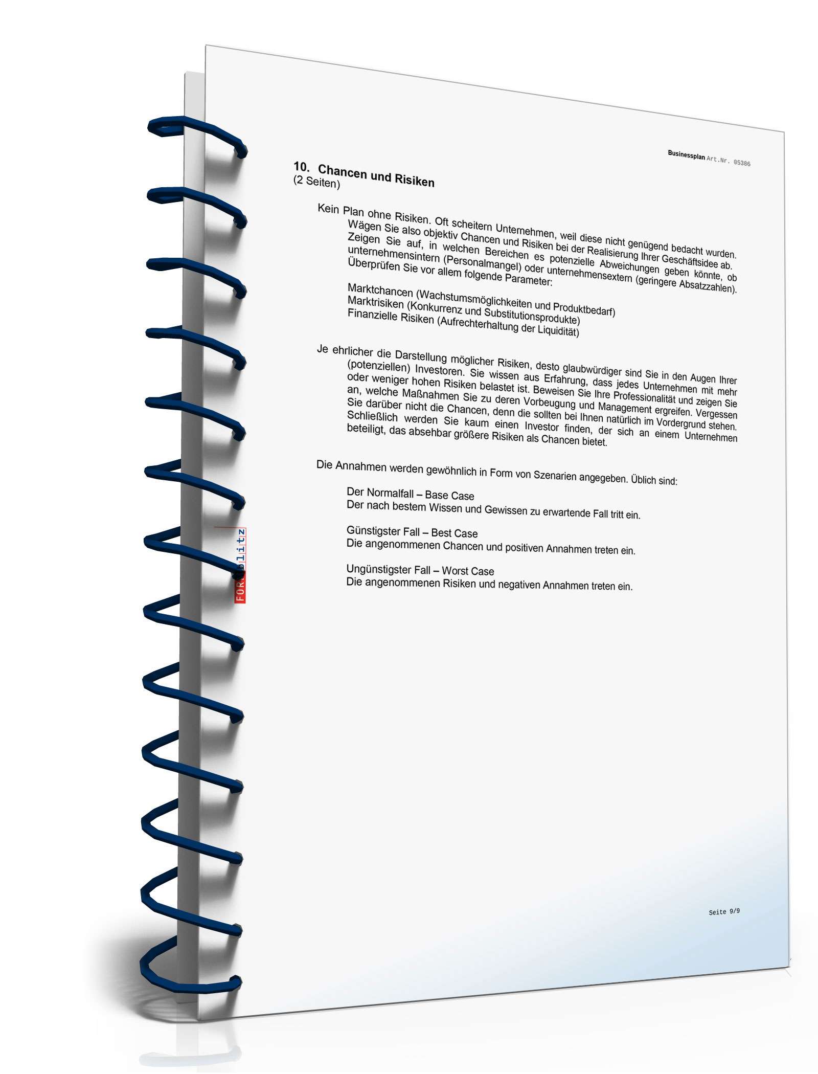 Businessplan Existenzgründung Excel. Seite: 13