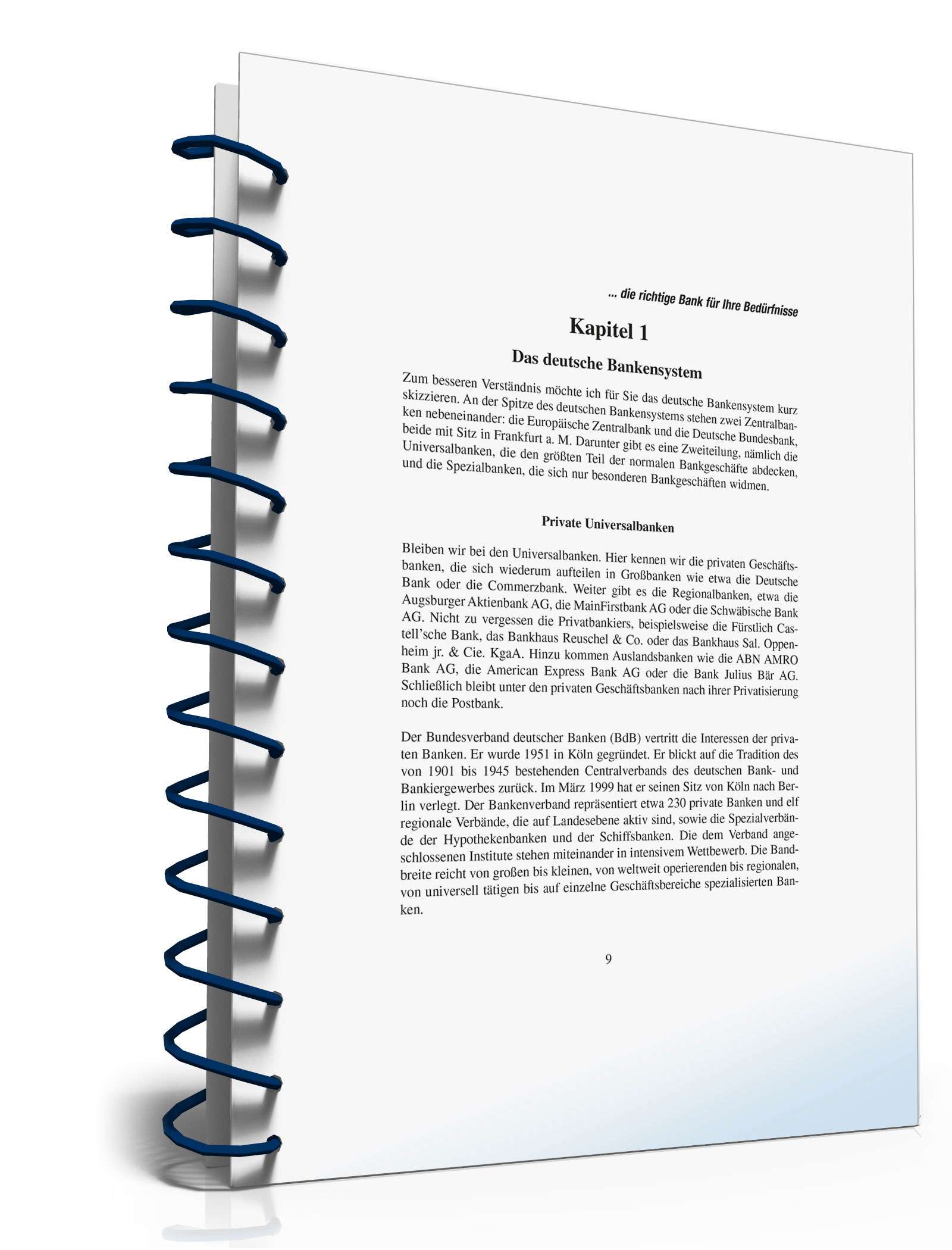 Ratgeber Auswahl Kreditinstitut  PDF. Seite: 7