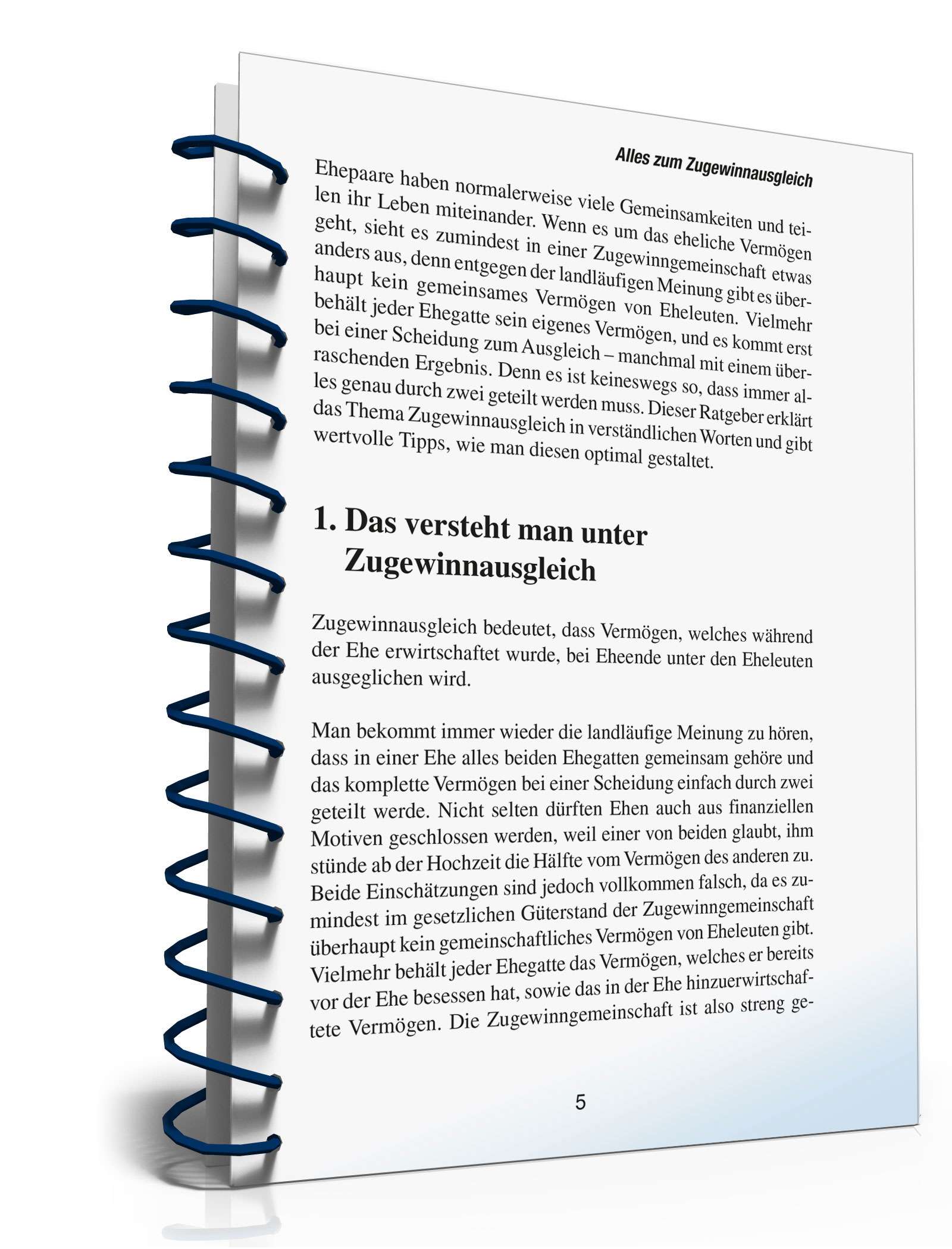 Ratgeber Eheliches Güterrecht PDF. Seite: 4