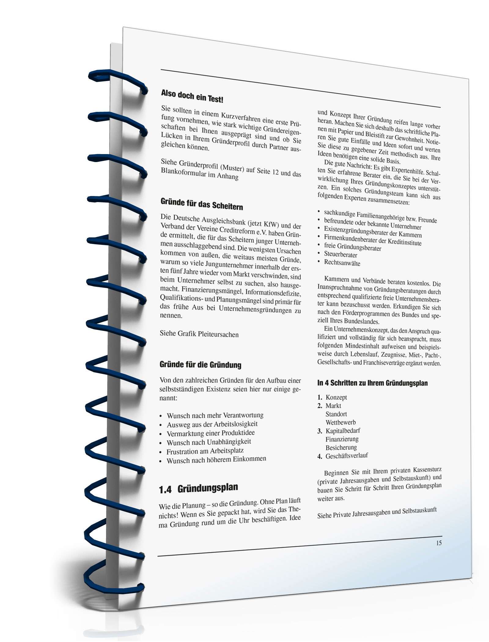 Businessplan erstellen PDF. Seite: 14