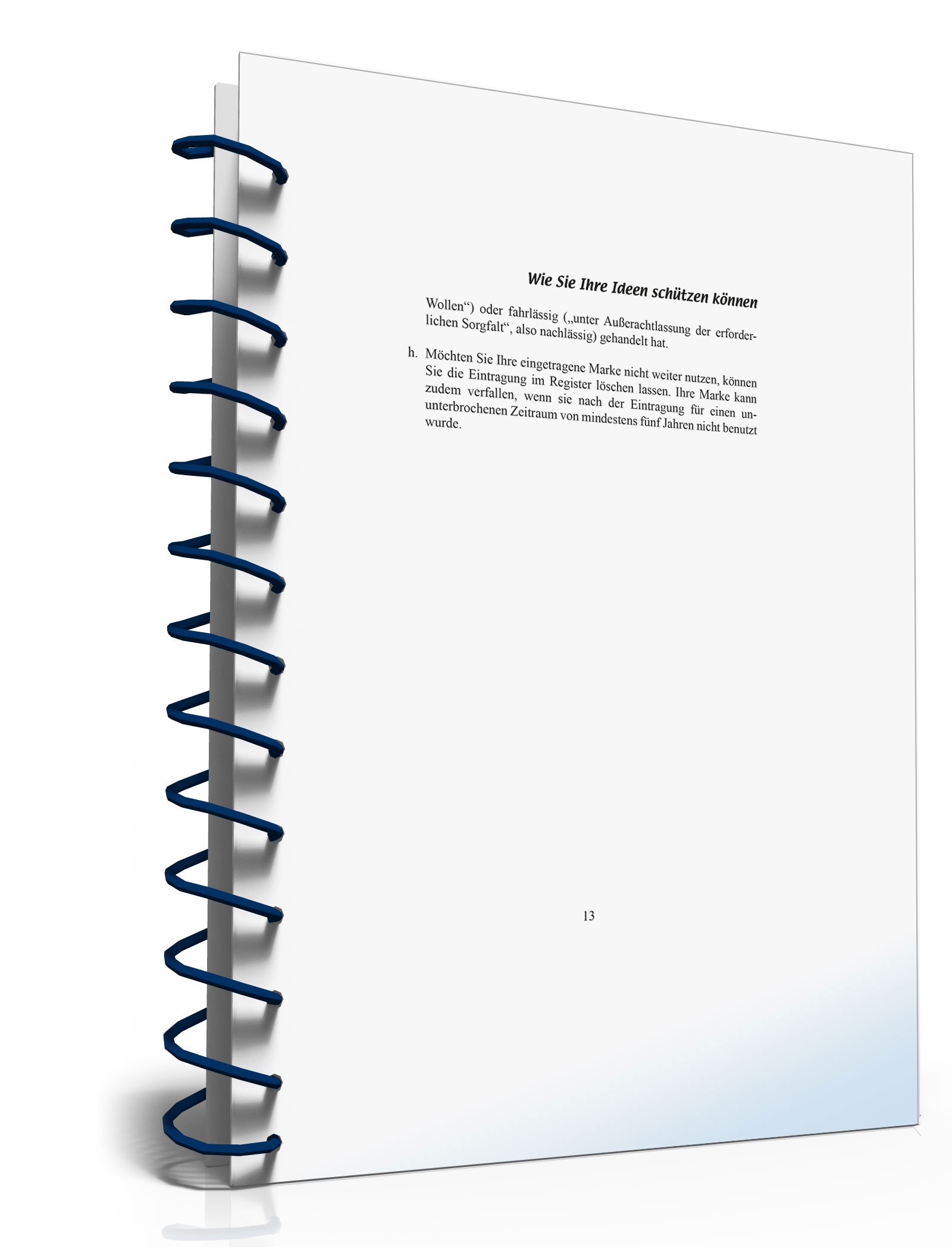 Wie Sie Ihre Ideen schützen können PDF. Seite: 13