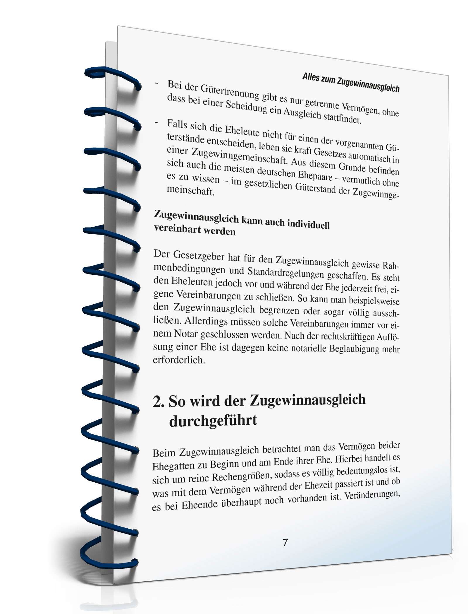 Ratgeber Eheliches Güterrecht PDF. Seite: 6