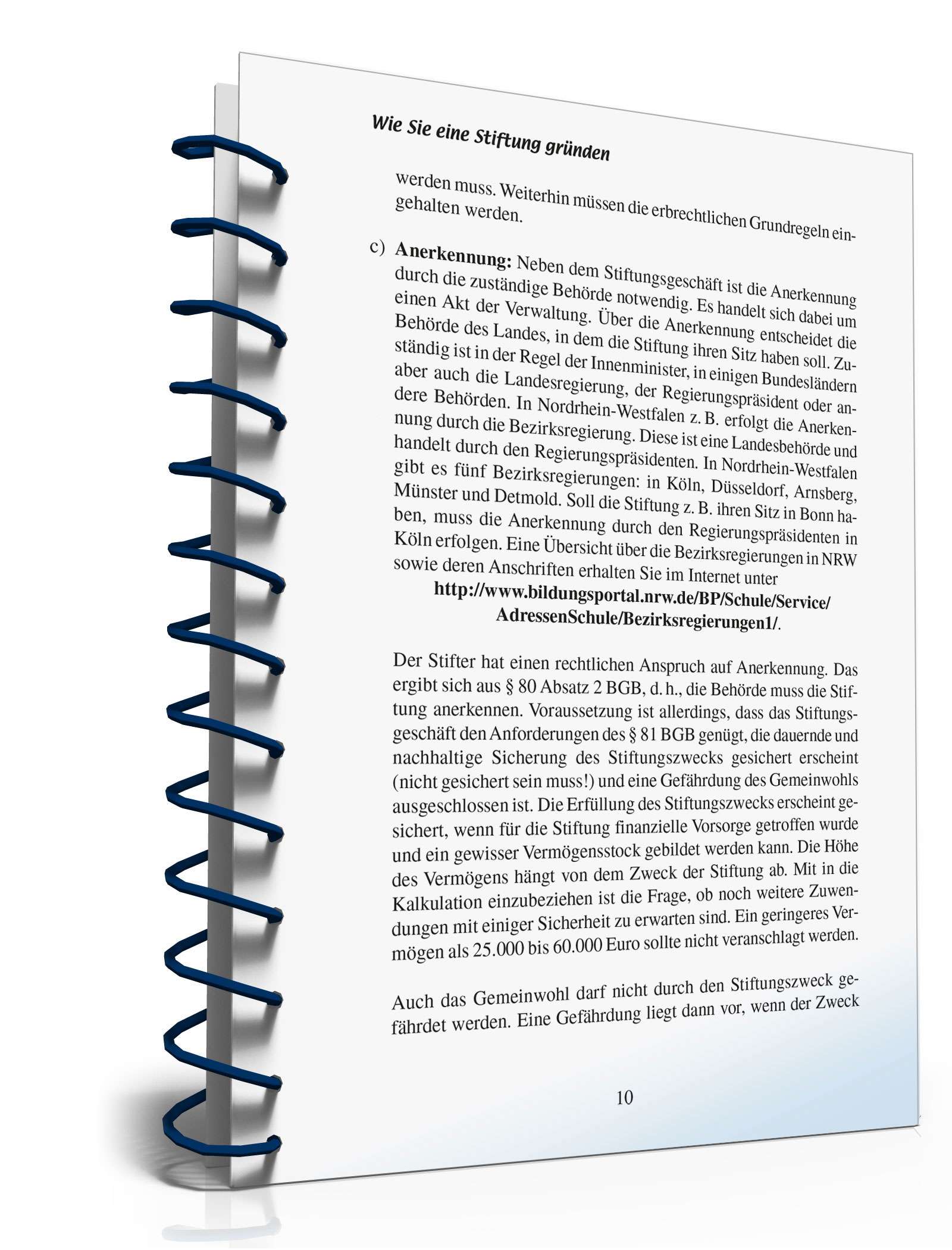 Ratgeber Gründung Stiftung  PDF. Seite: 9
