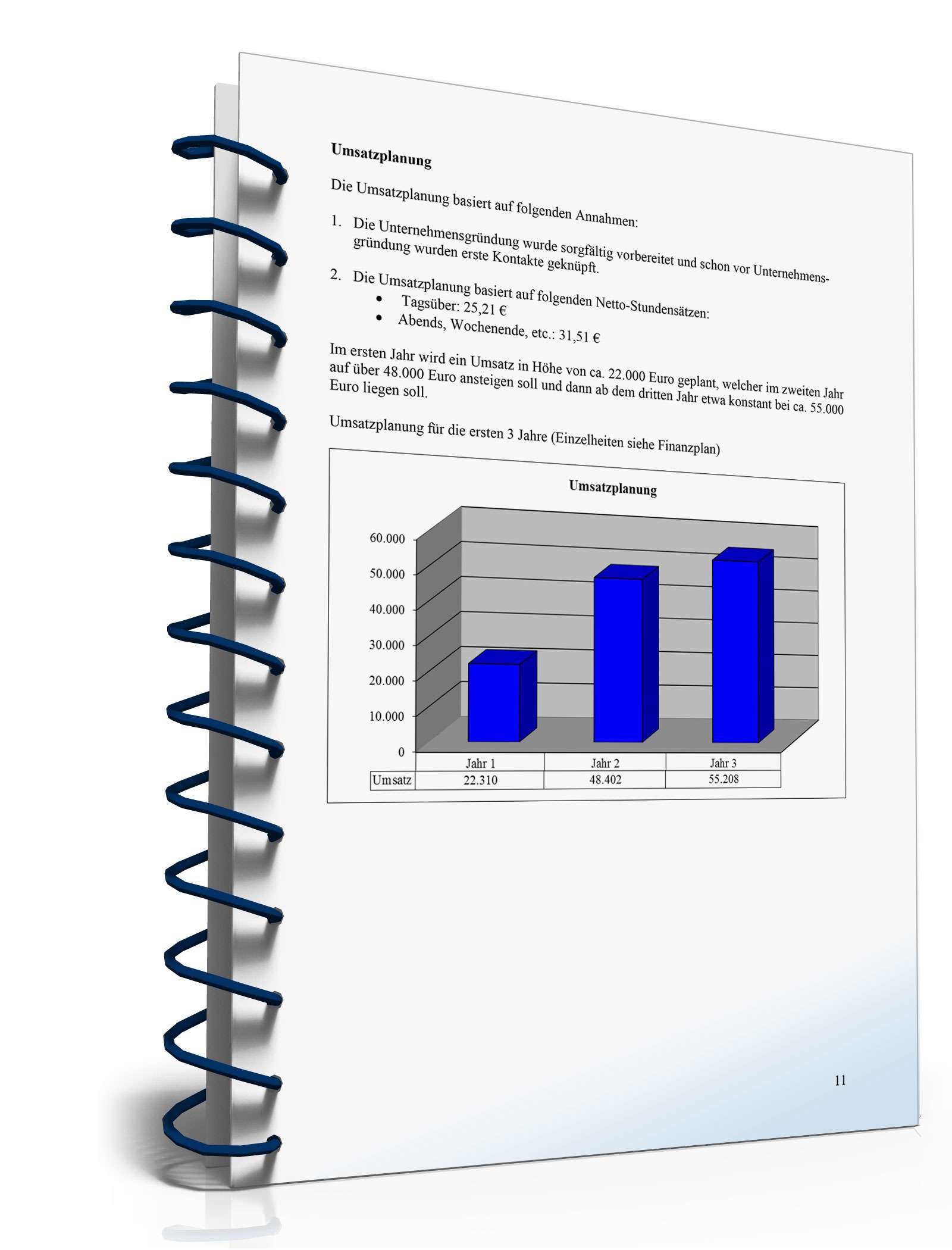 Businessplan Fensterputzer von Gründerplan Excel. Seite: 4