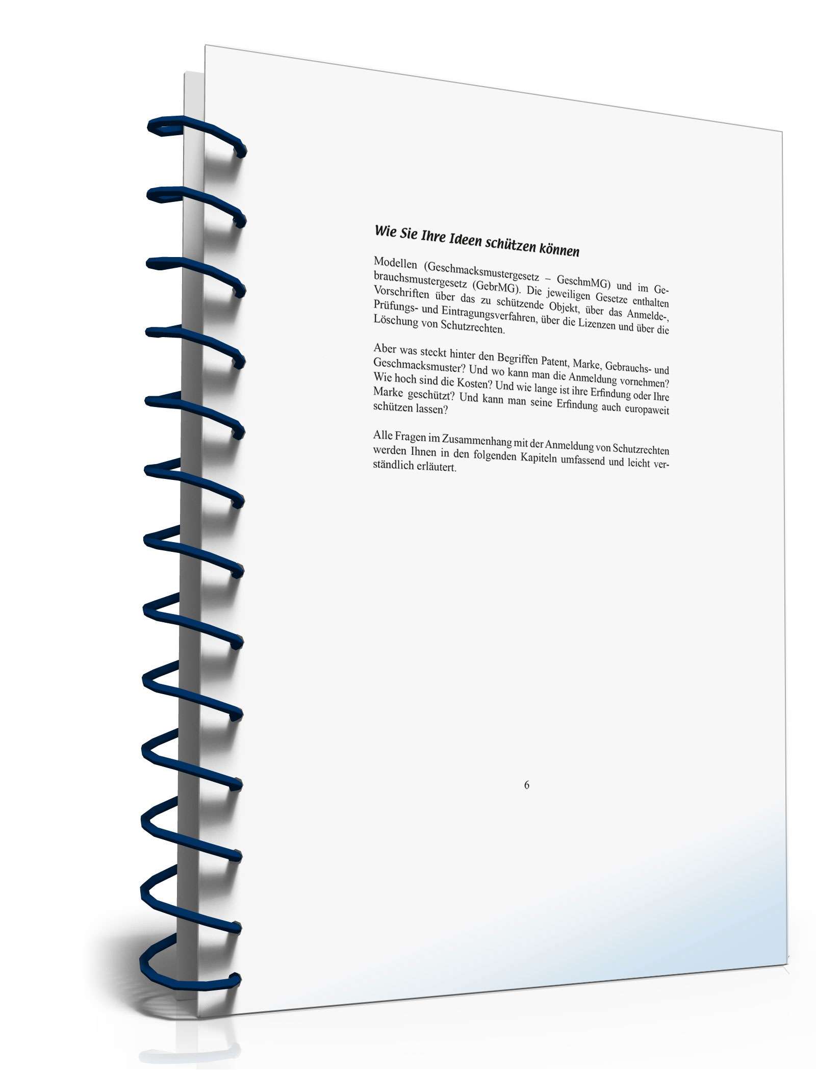 Wie Sie Ihre Ideen schützen können PDF. Seite: 6