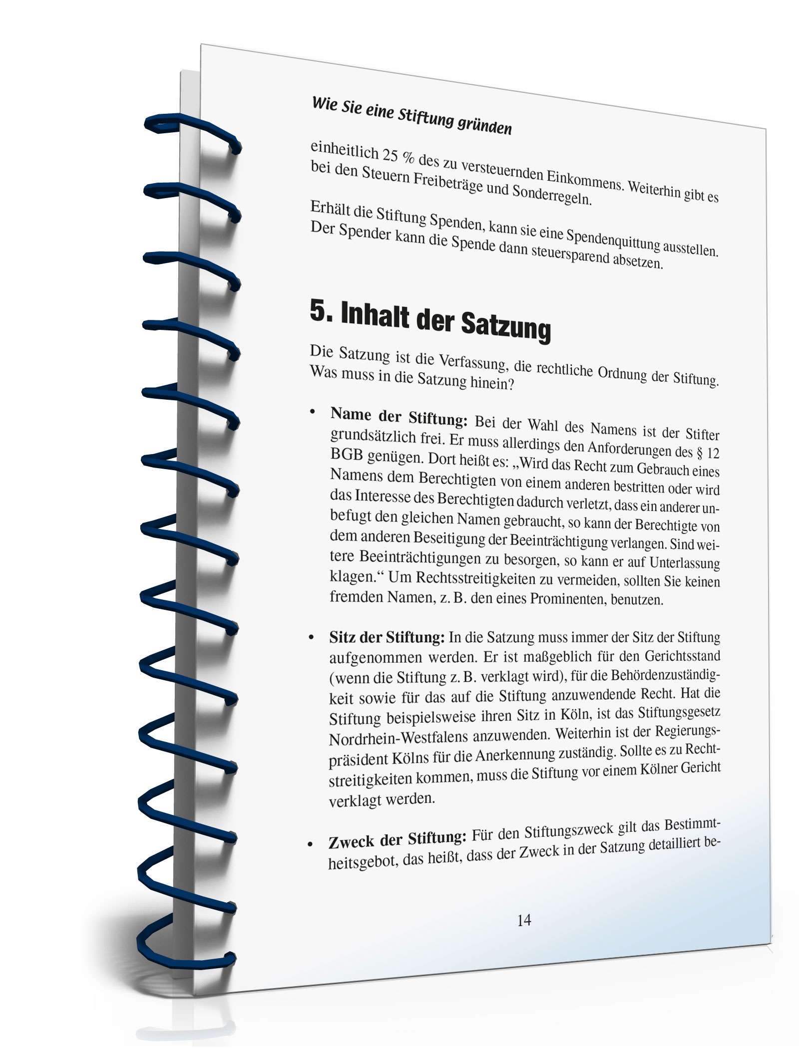 Ratgeber Gründung Stiftung  PDF. Seite: 13