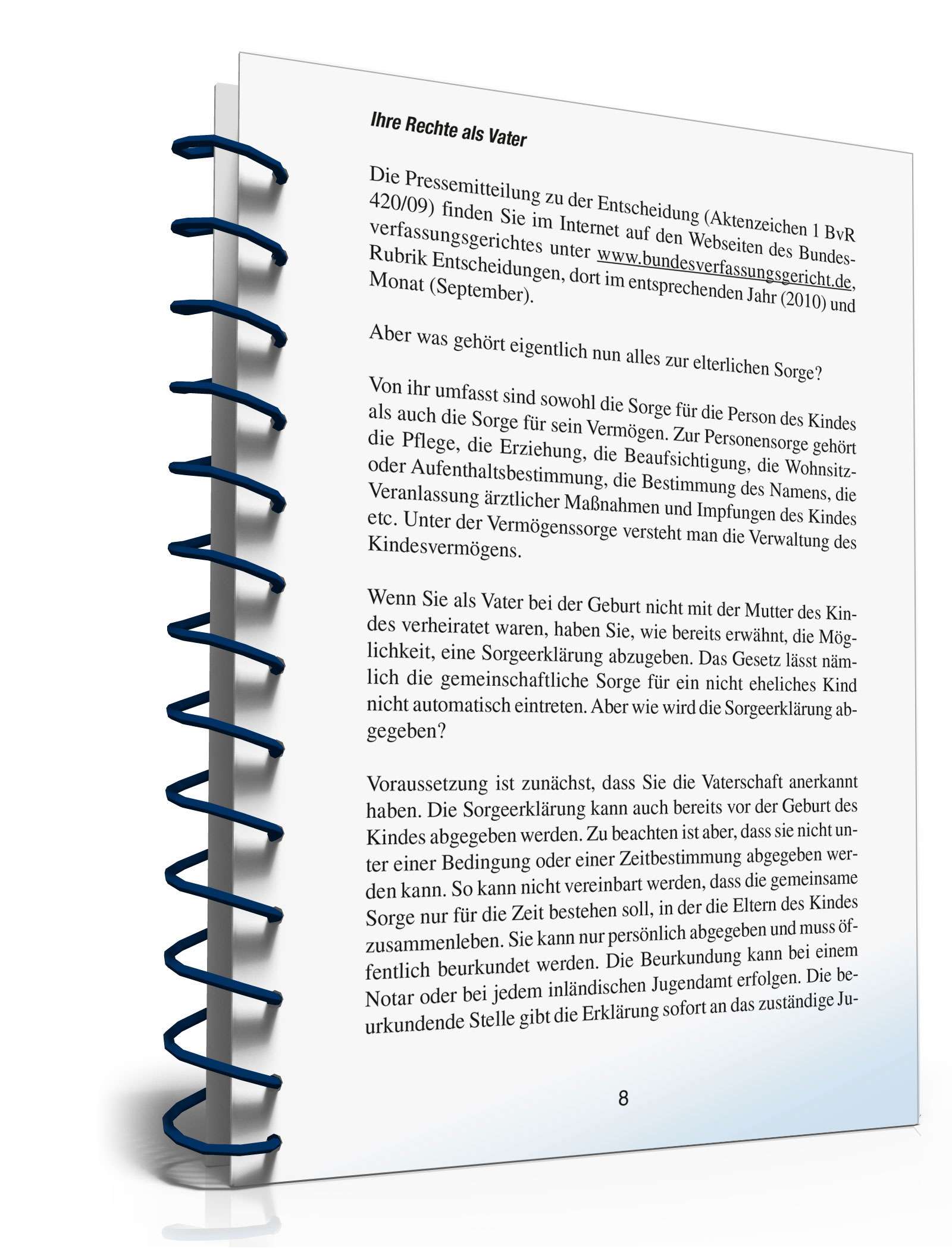 Ihre Rechte als Vater PDF. Seite: 7