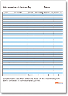 Tageskalorienverbrauch Excel