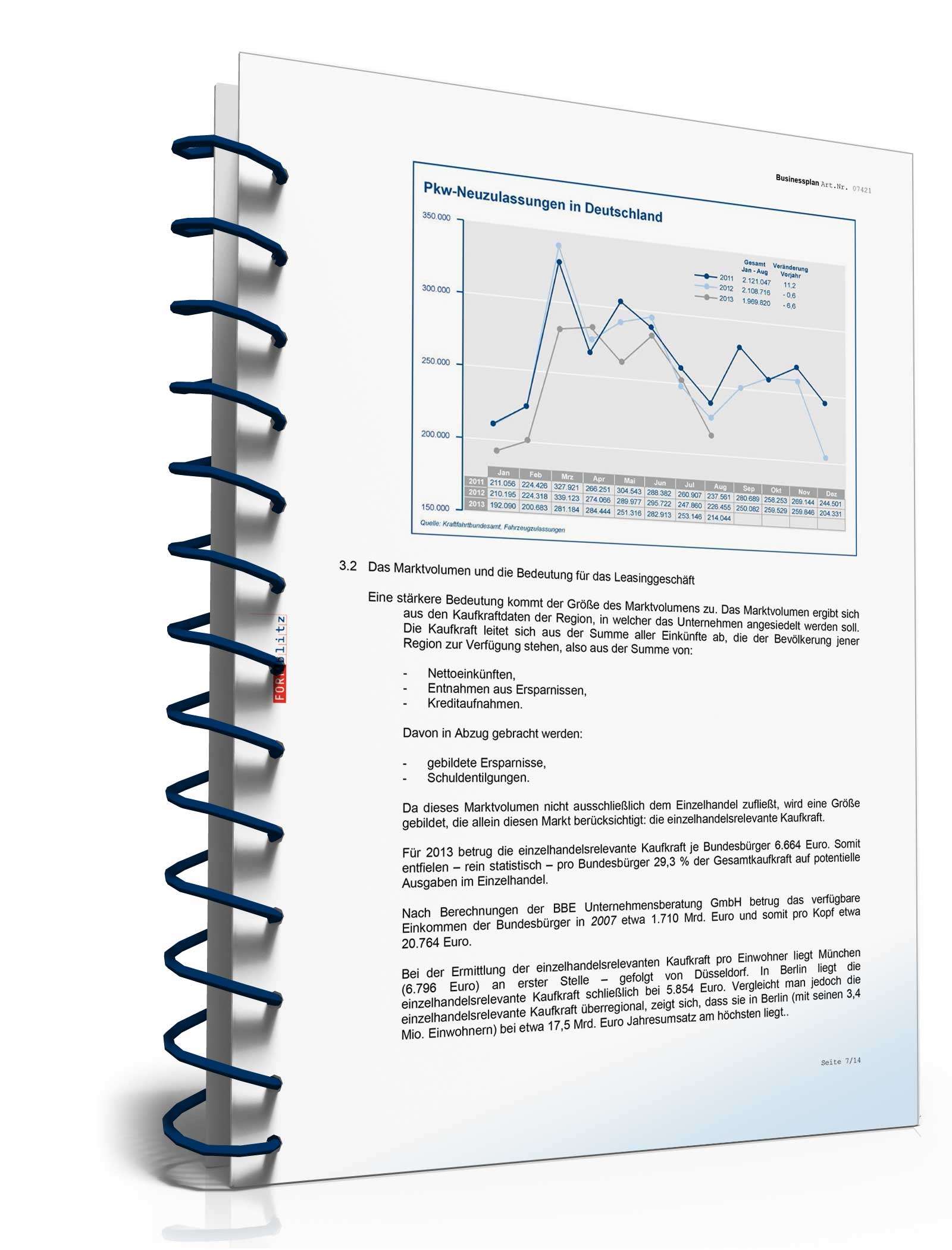 Businessplan für ein Leasingunternehmen Excel. Seite: 10