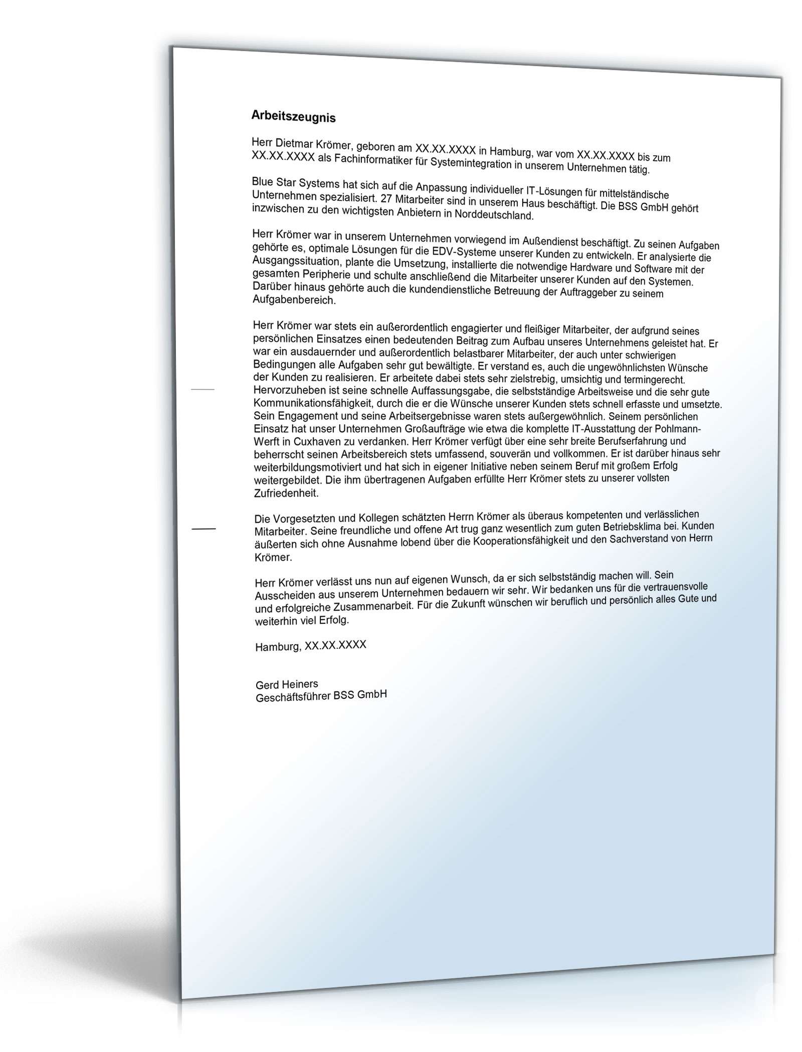 Arbeitszeugnis Fachinformatiker Excel. Seite: 3