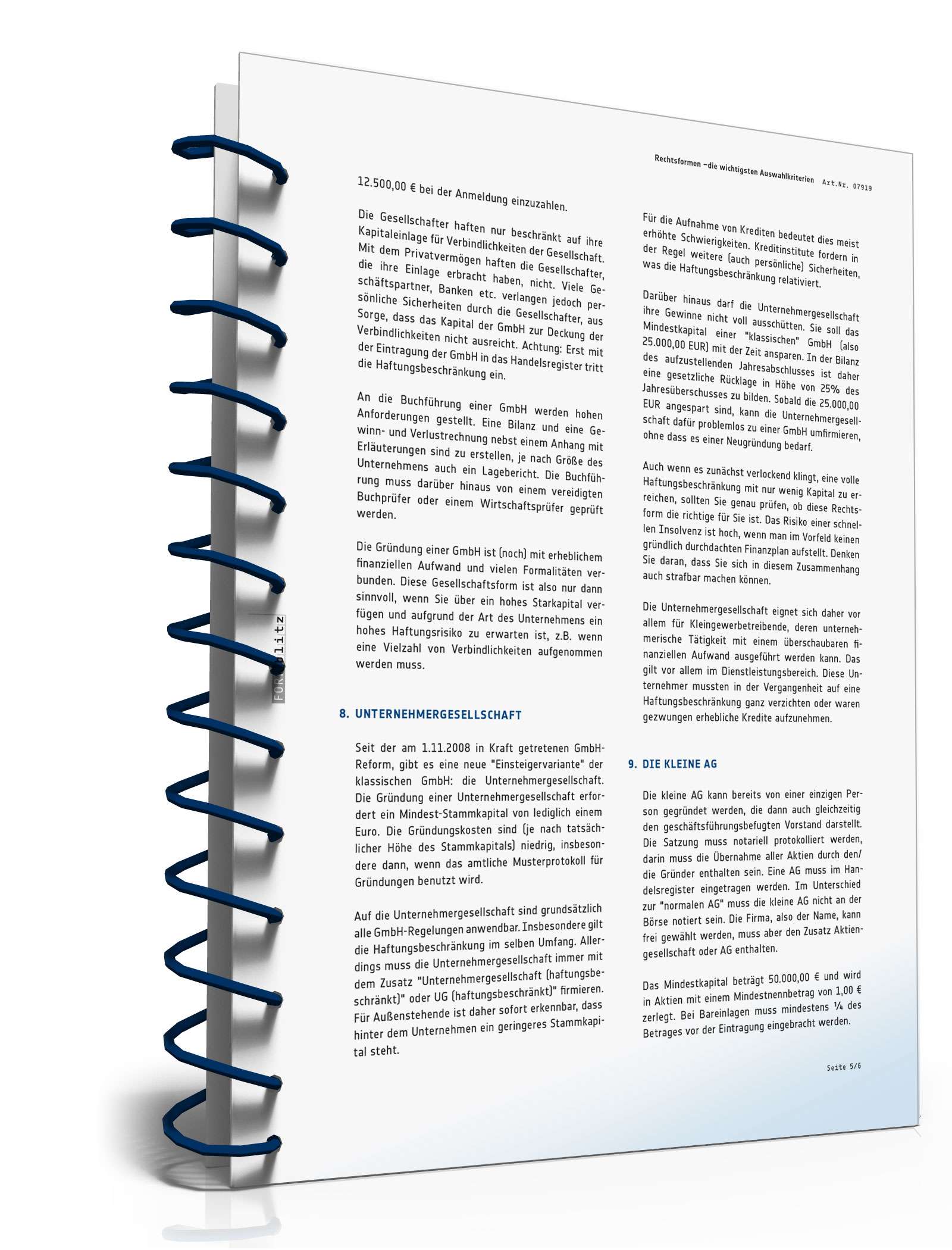 Ratgeber Auswahlkriterien Rechtsform  PDF. Seite: 6