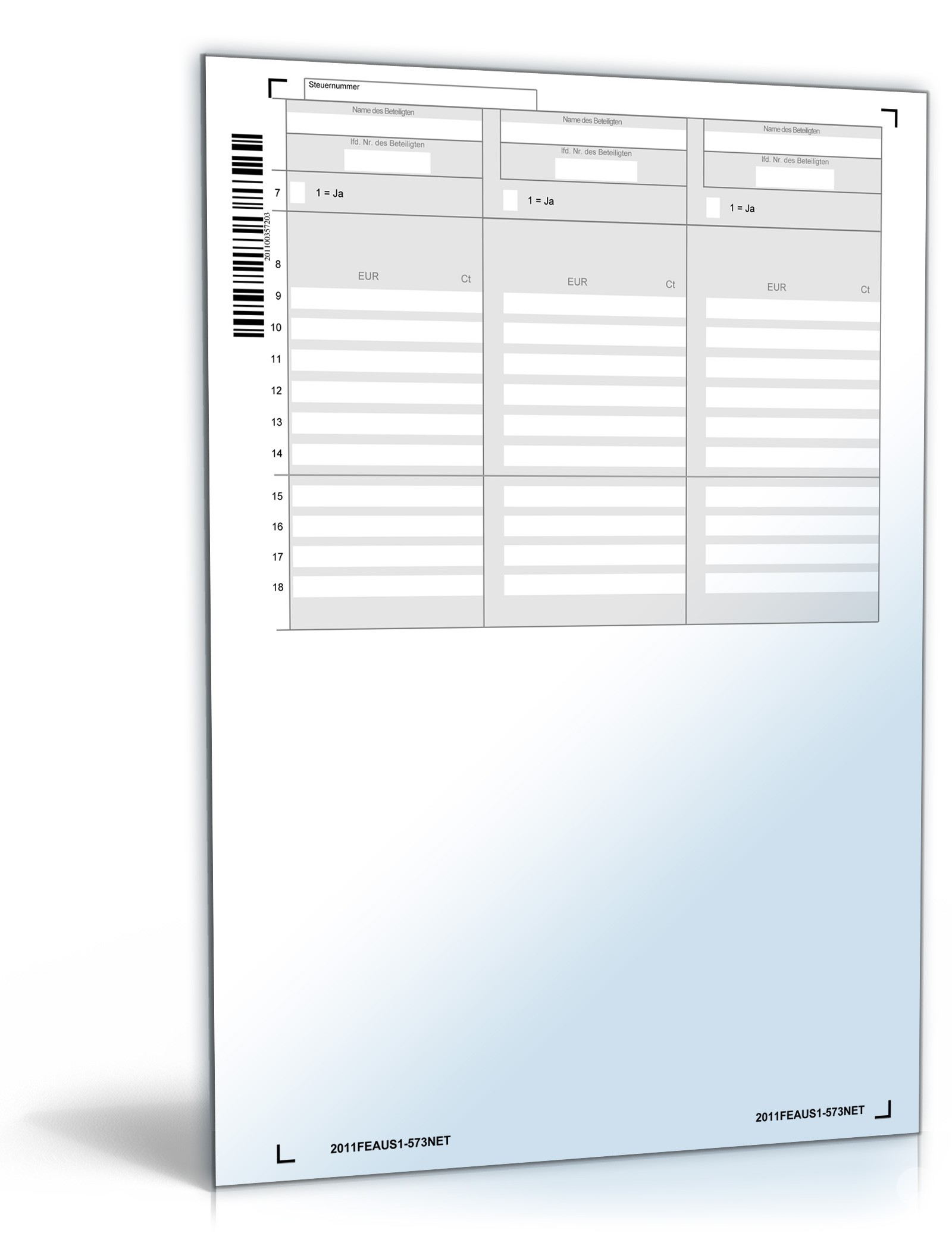 Anlage FE-AUS1 2011 PDF. Seite: 3