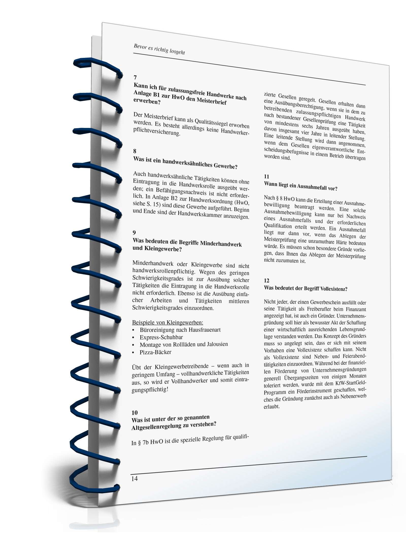 Ratgeber Unternehmensgründung PDF. Seite: 14